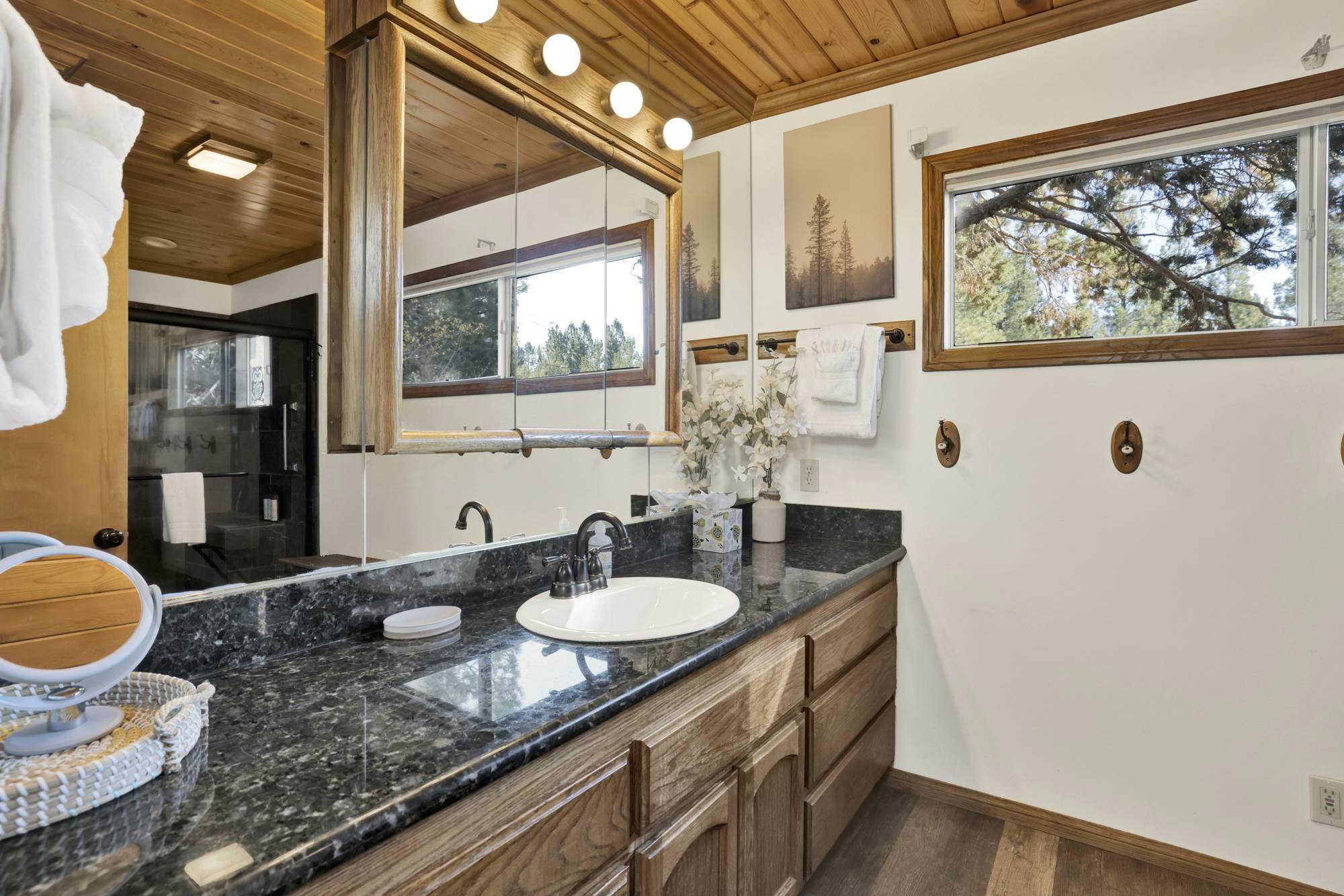 610-Entertainment Cabin