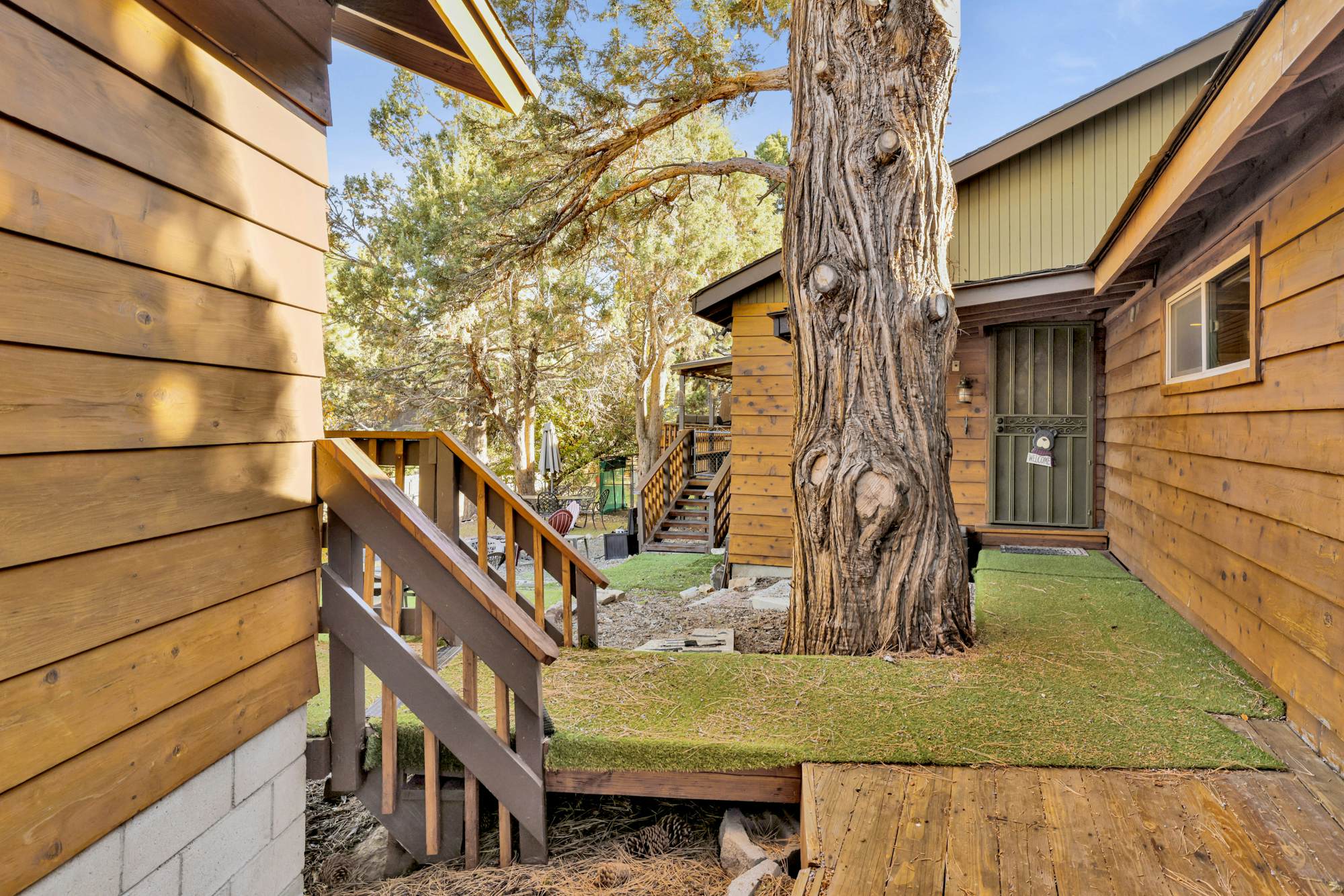 610-Entertainment Cabin