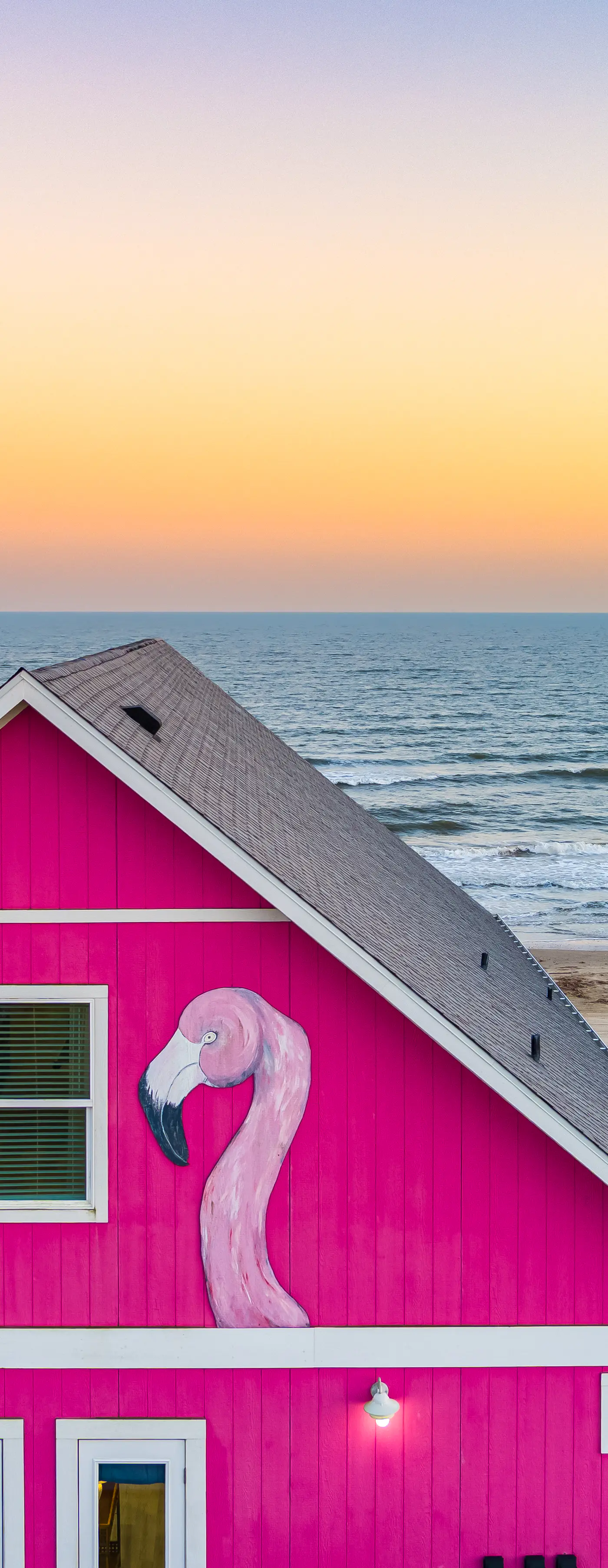 Flamingo