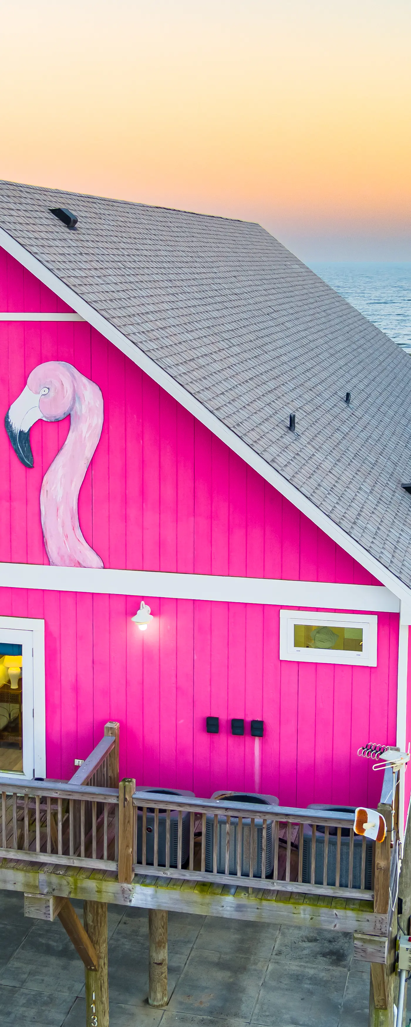 Flamingo