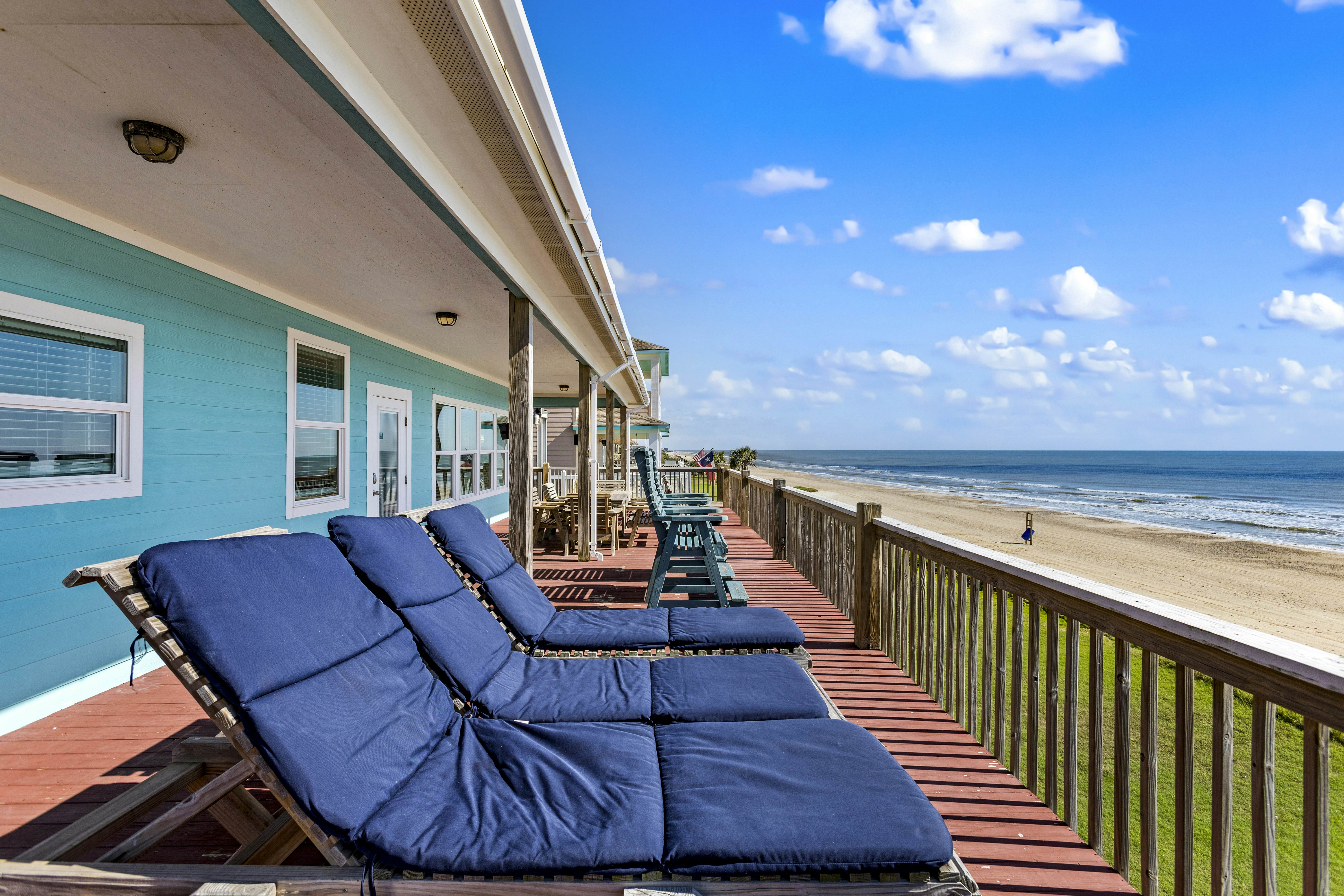 The Magnificent Starfish