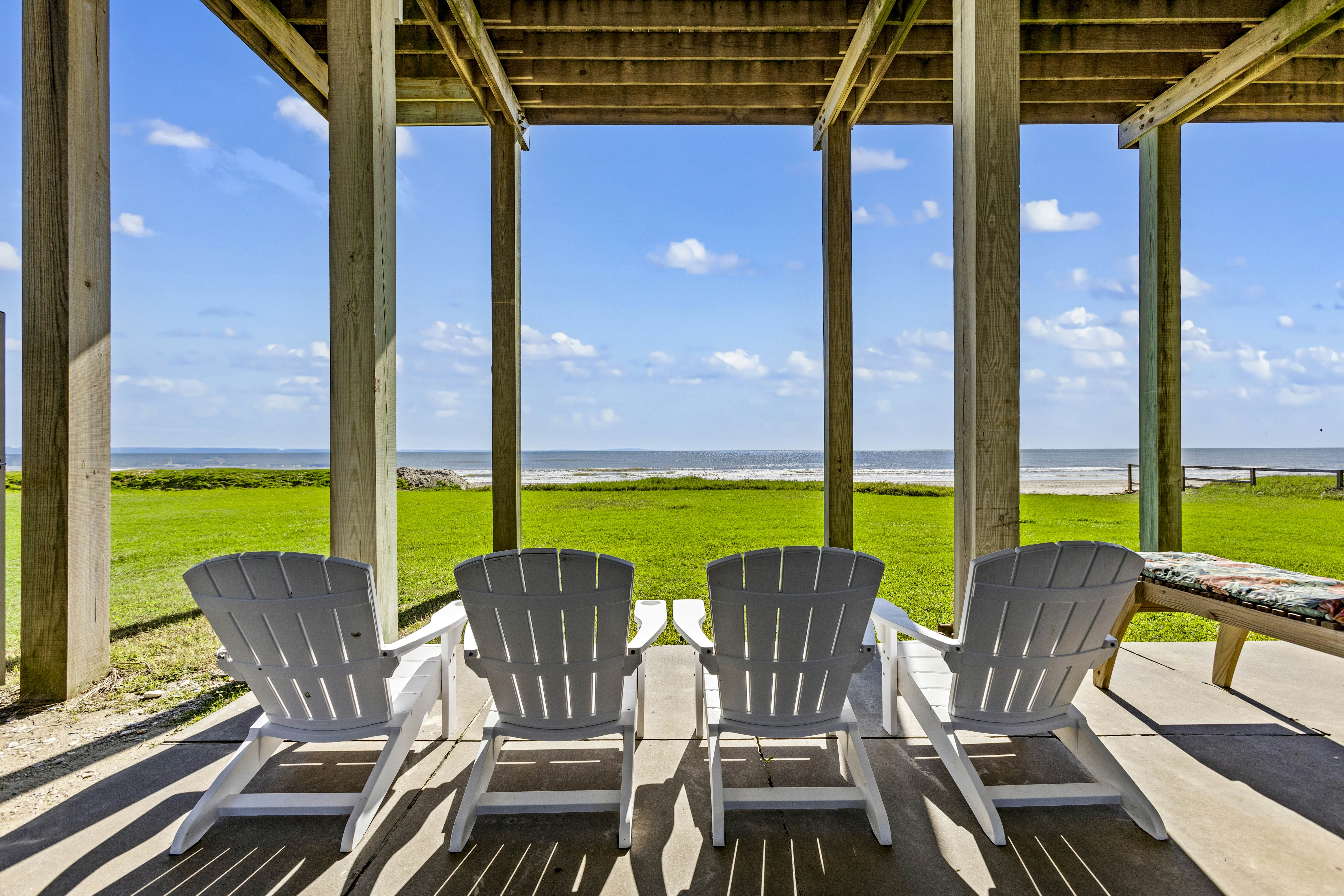 The Magnificent Starfish