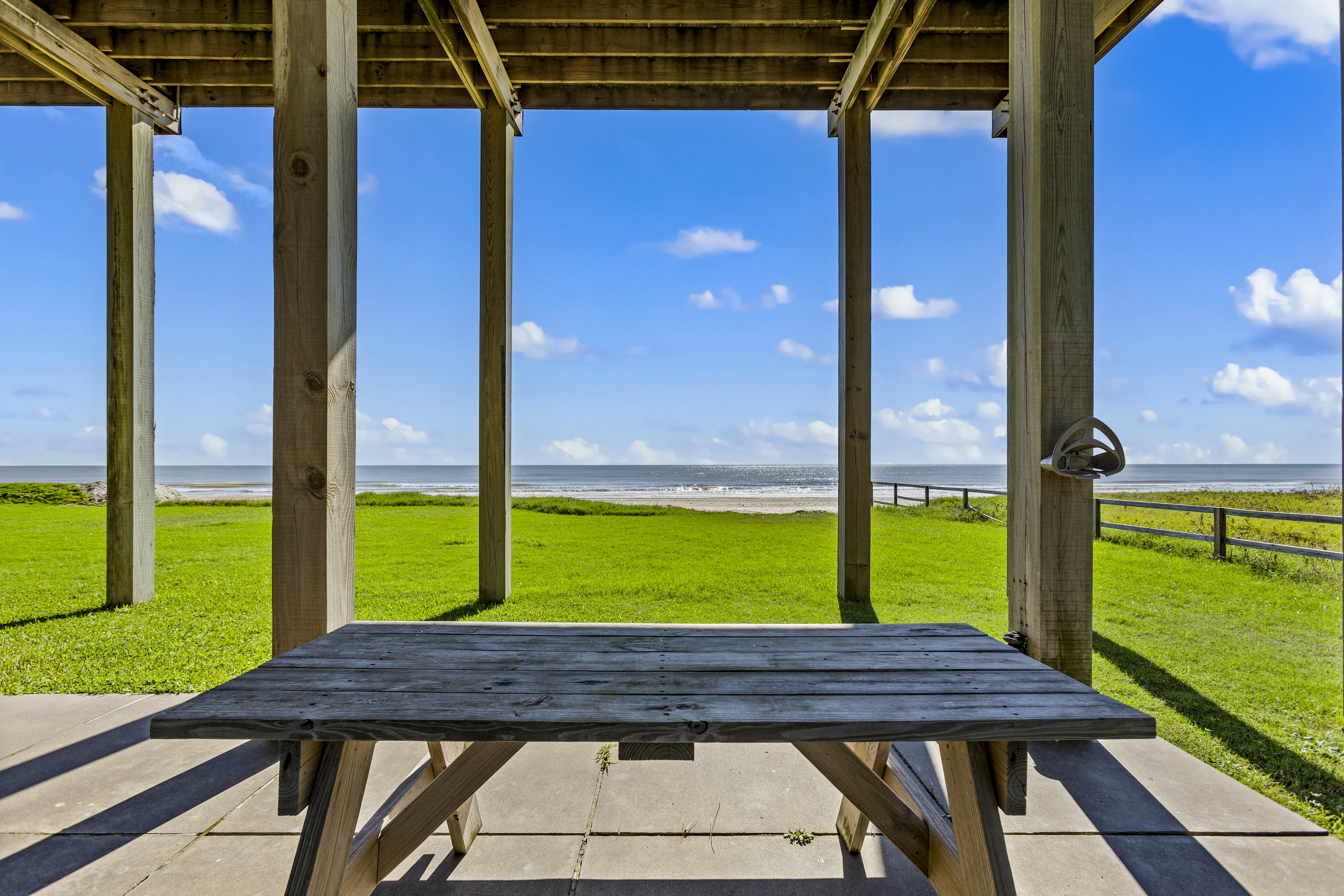 The Magnificent Starfish