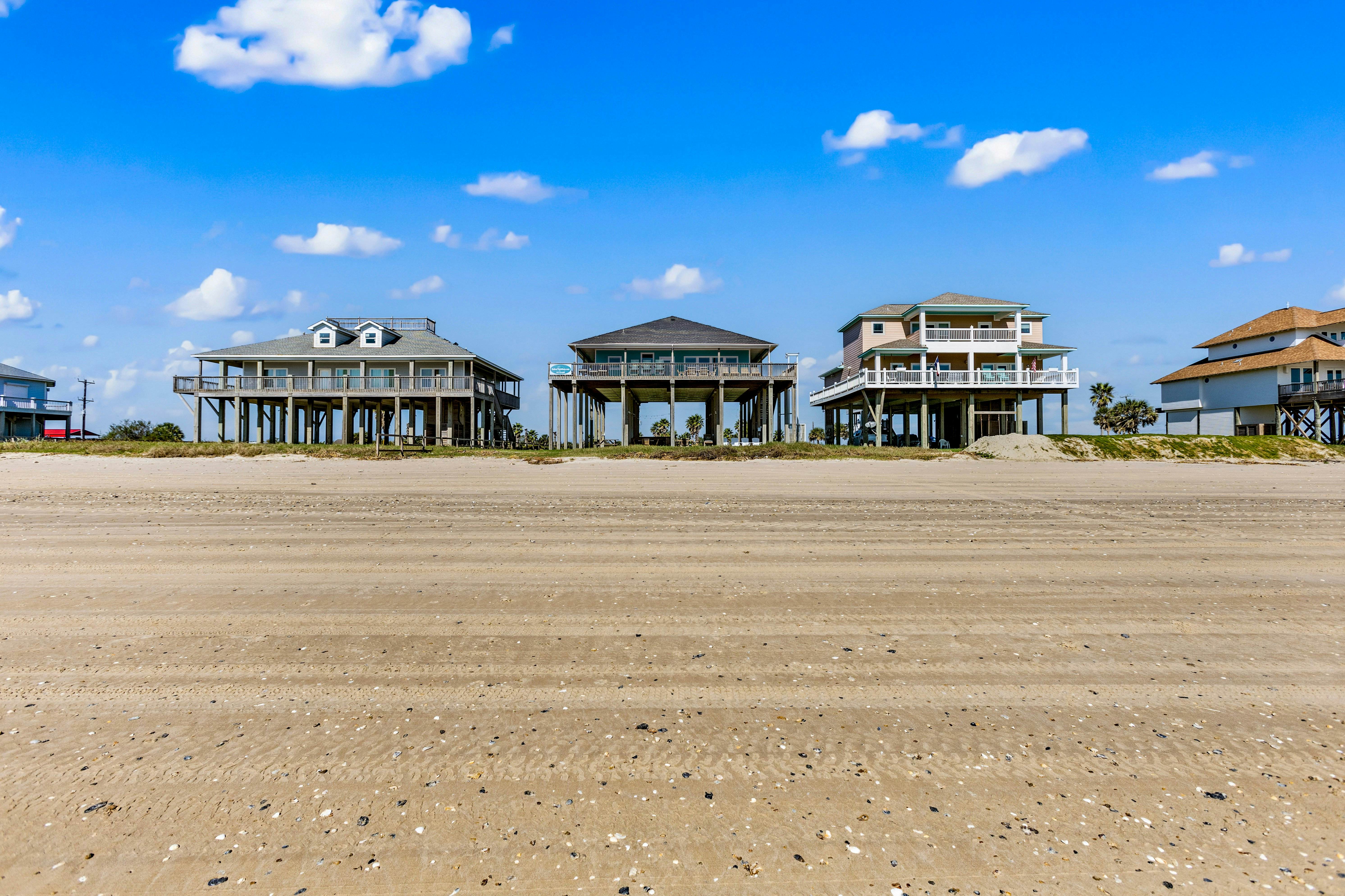 The Magnificent Starfish