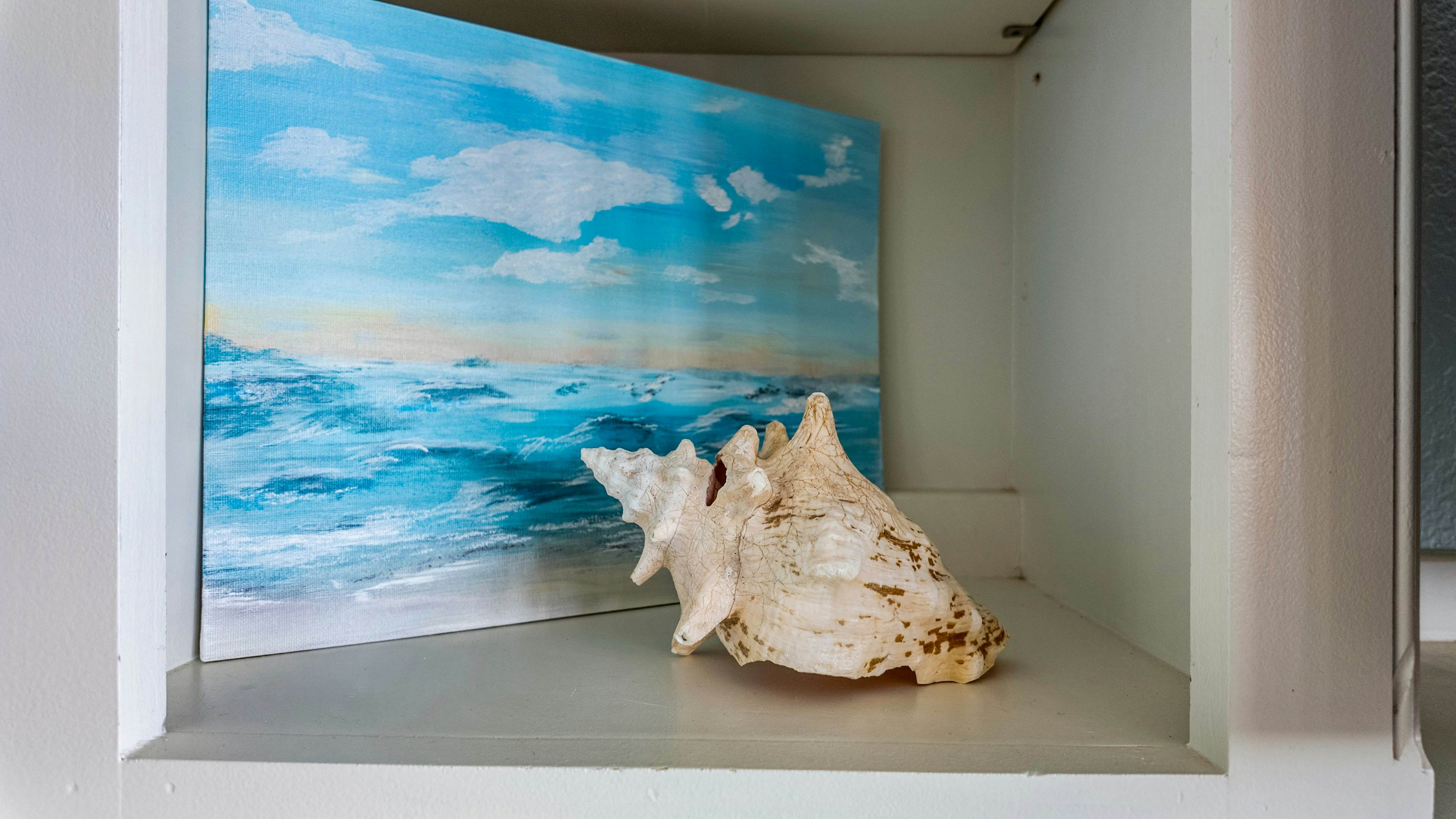 The Magnificent Starfish