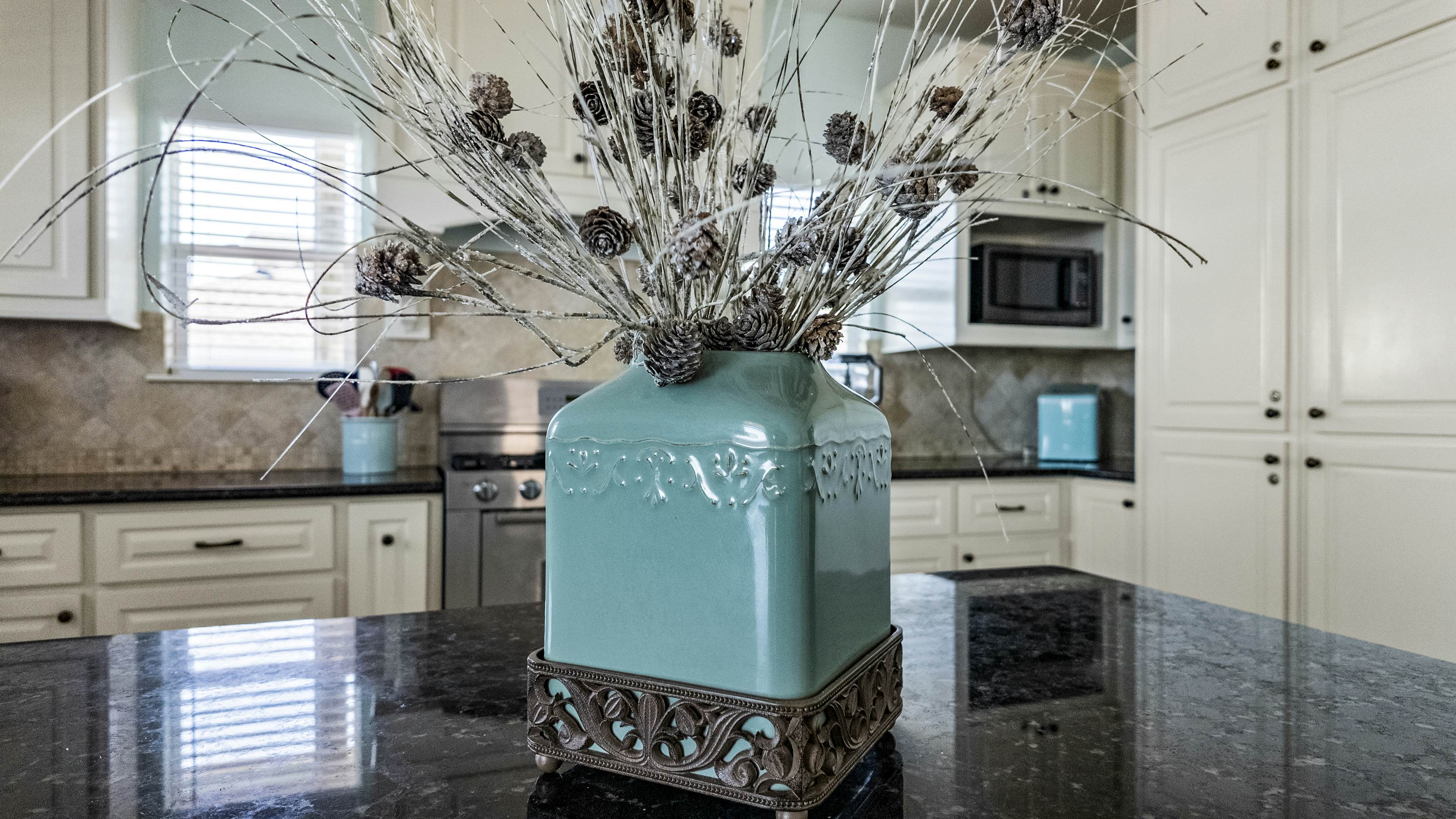 The Magnificent Starfish