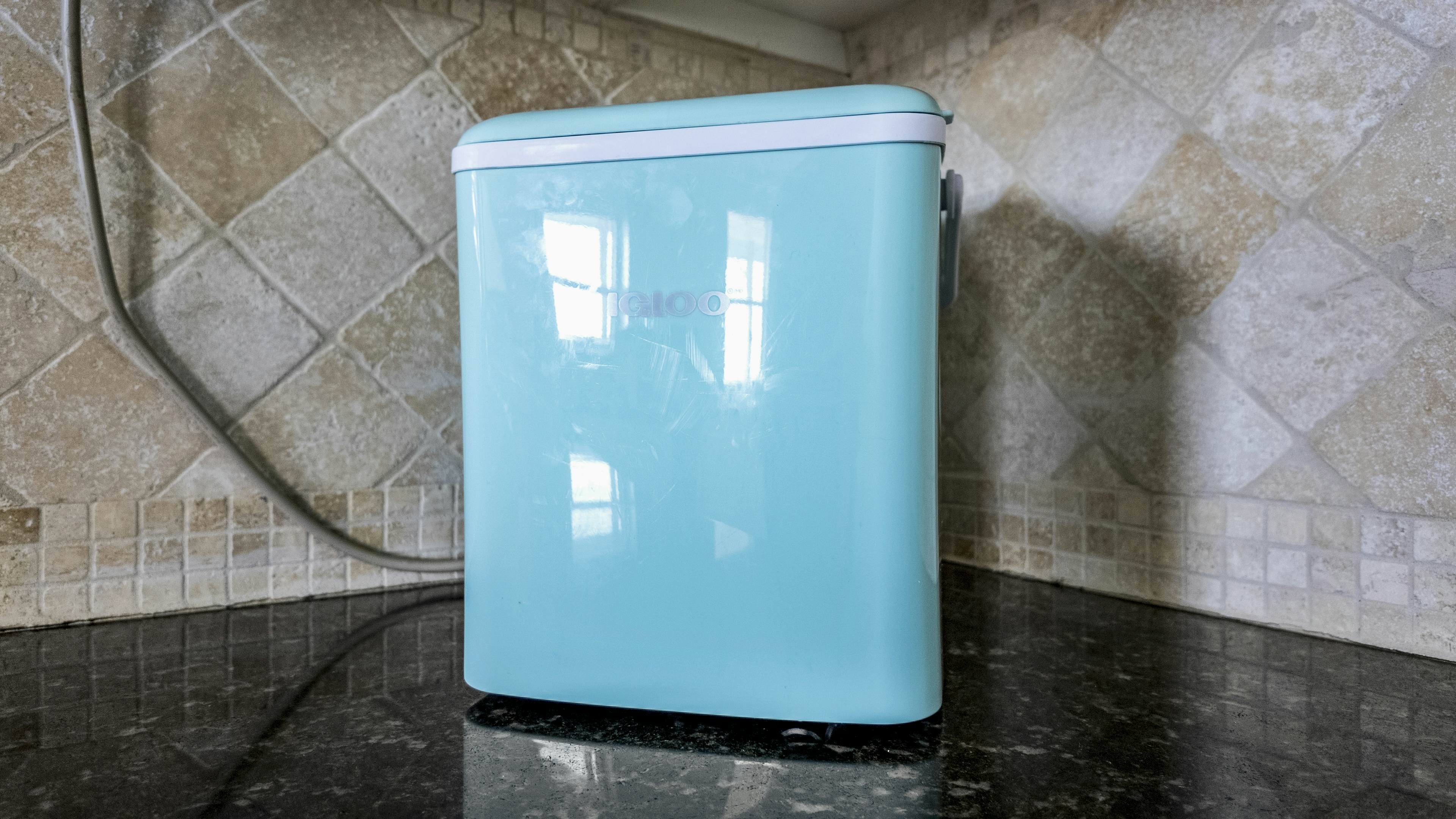 The Magnificent Starfish