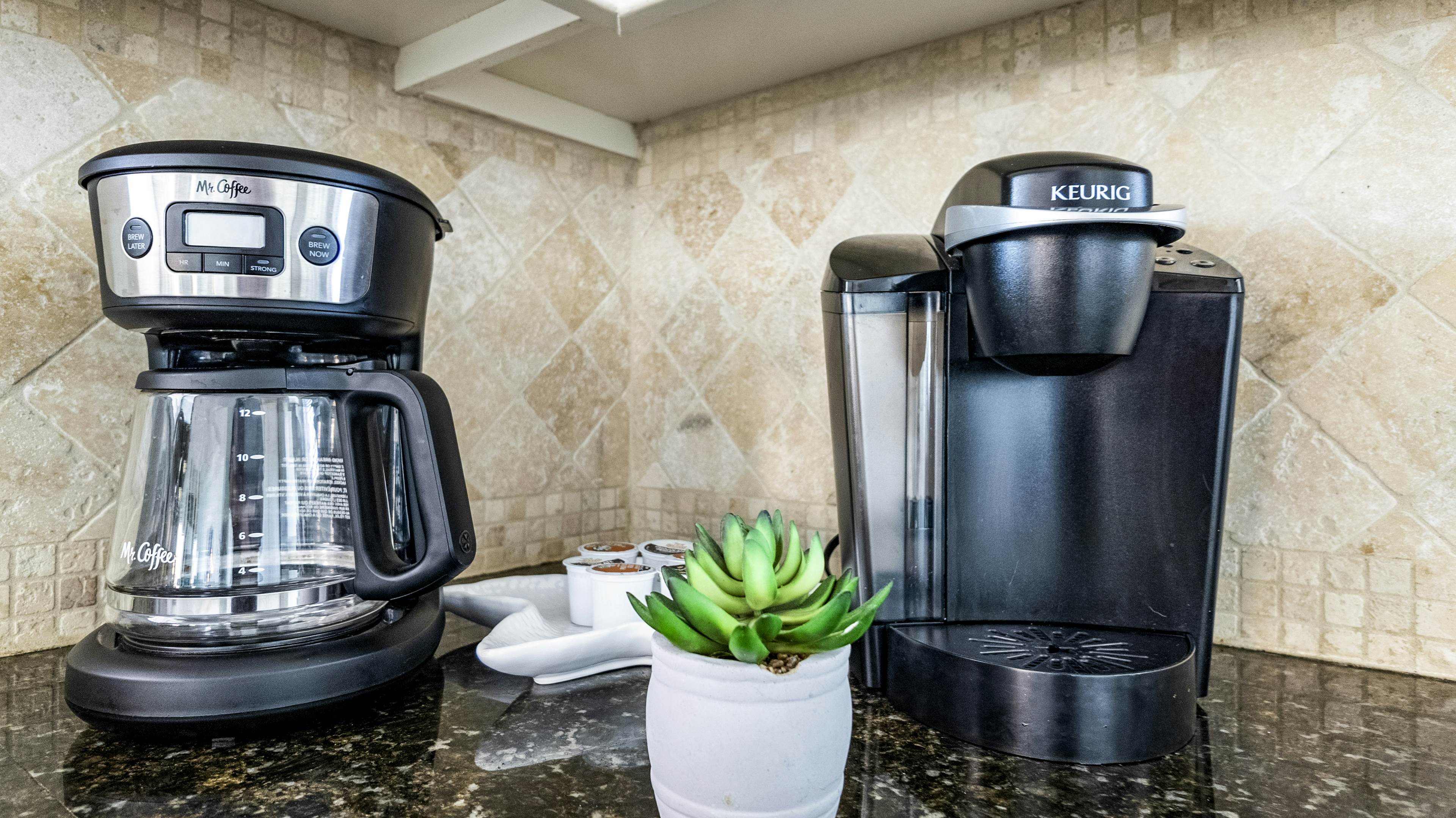 The Magnificent Starfish