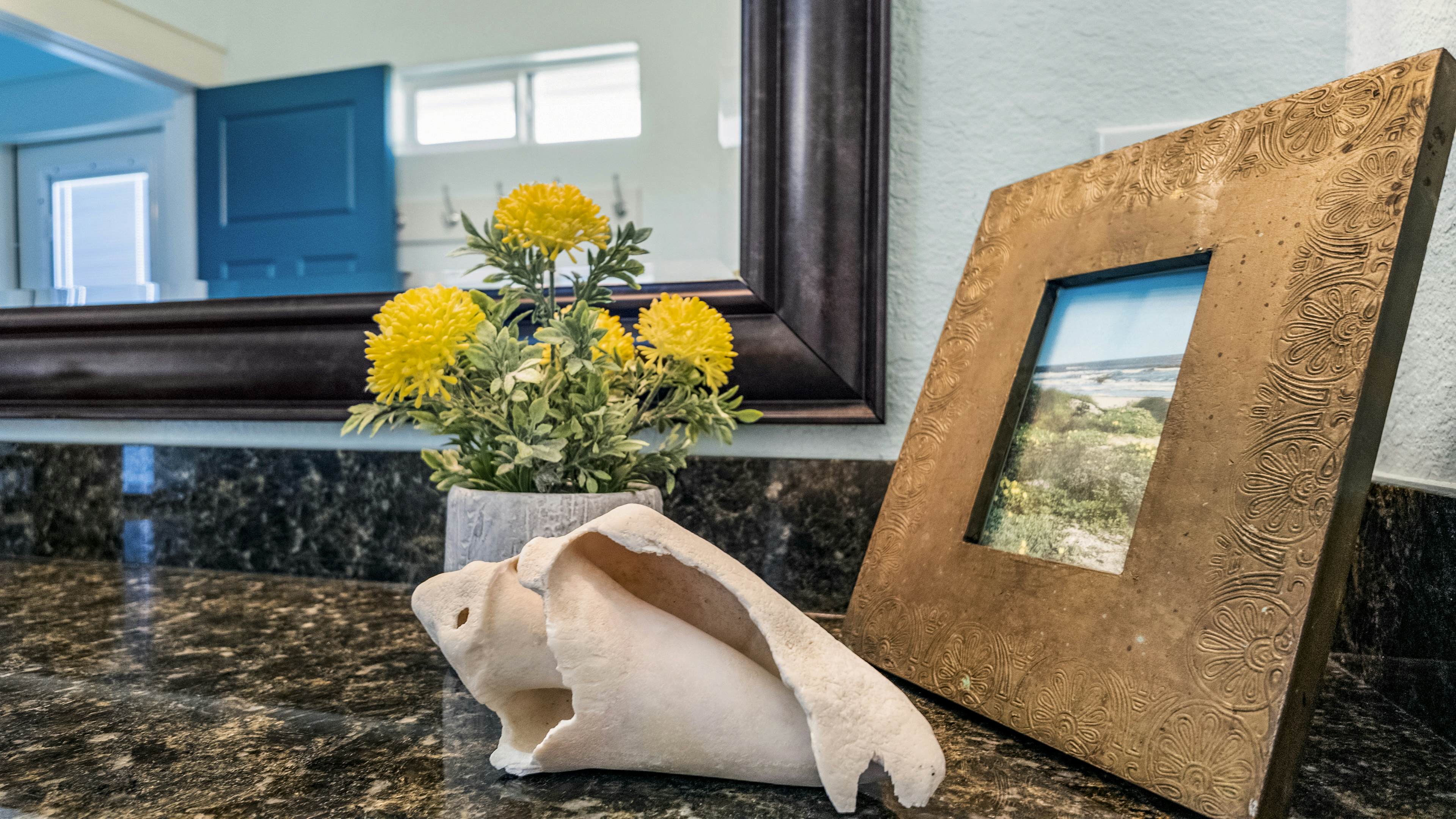 The Magnificent Starfish