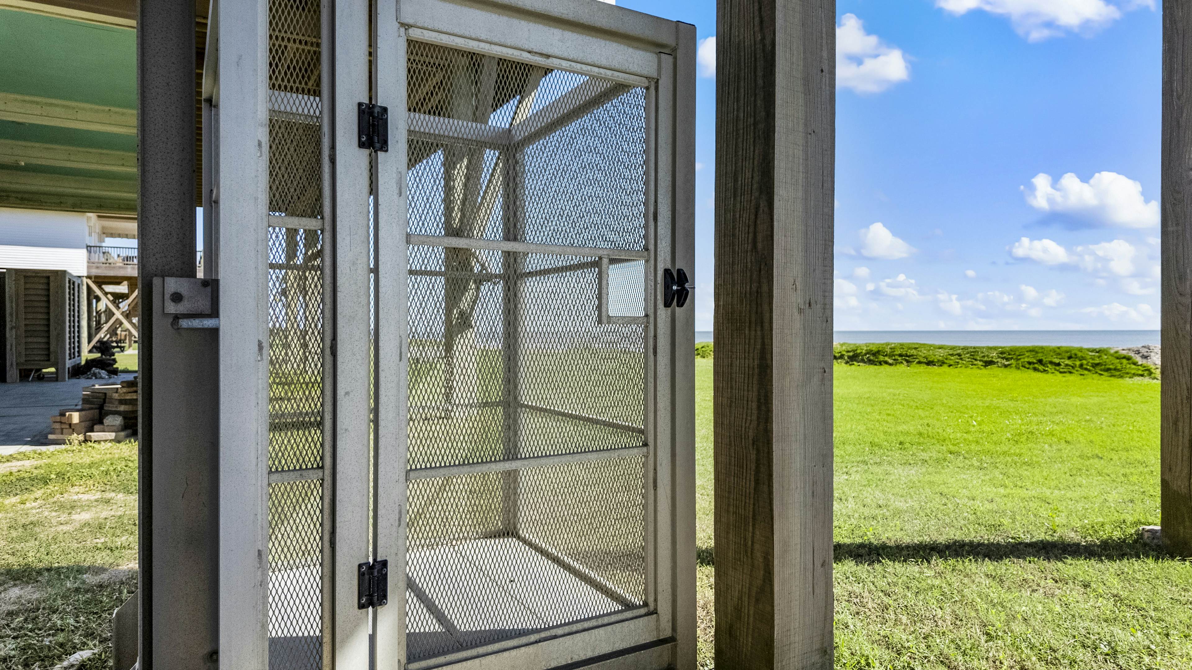 The Magnificent Starfish