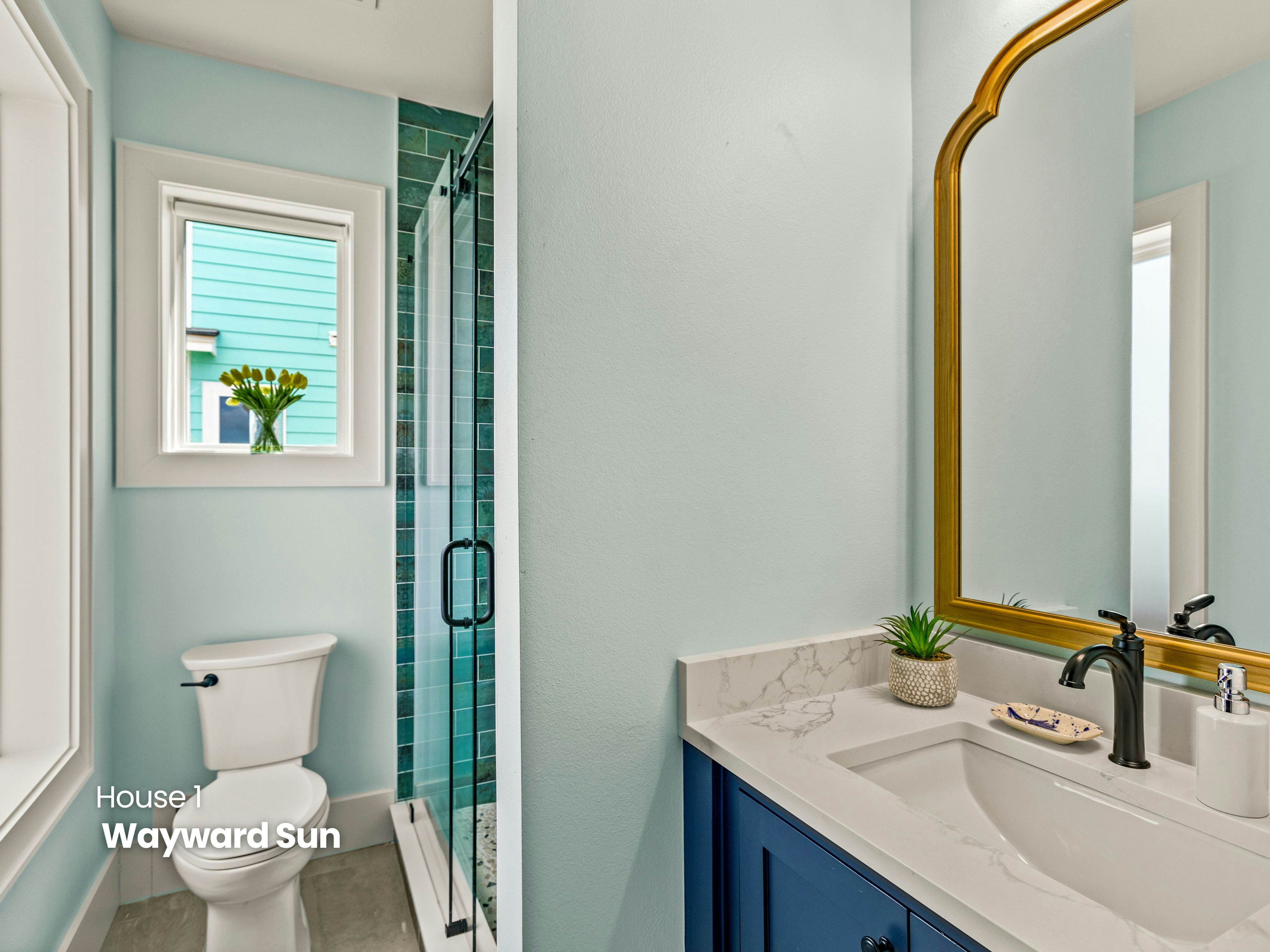 Fandango and Wayward Sun