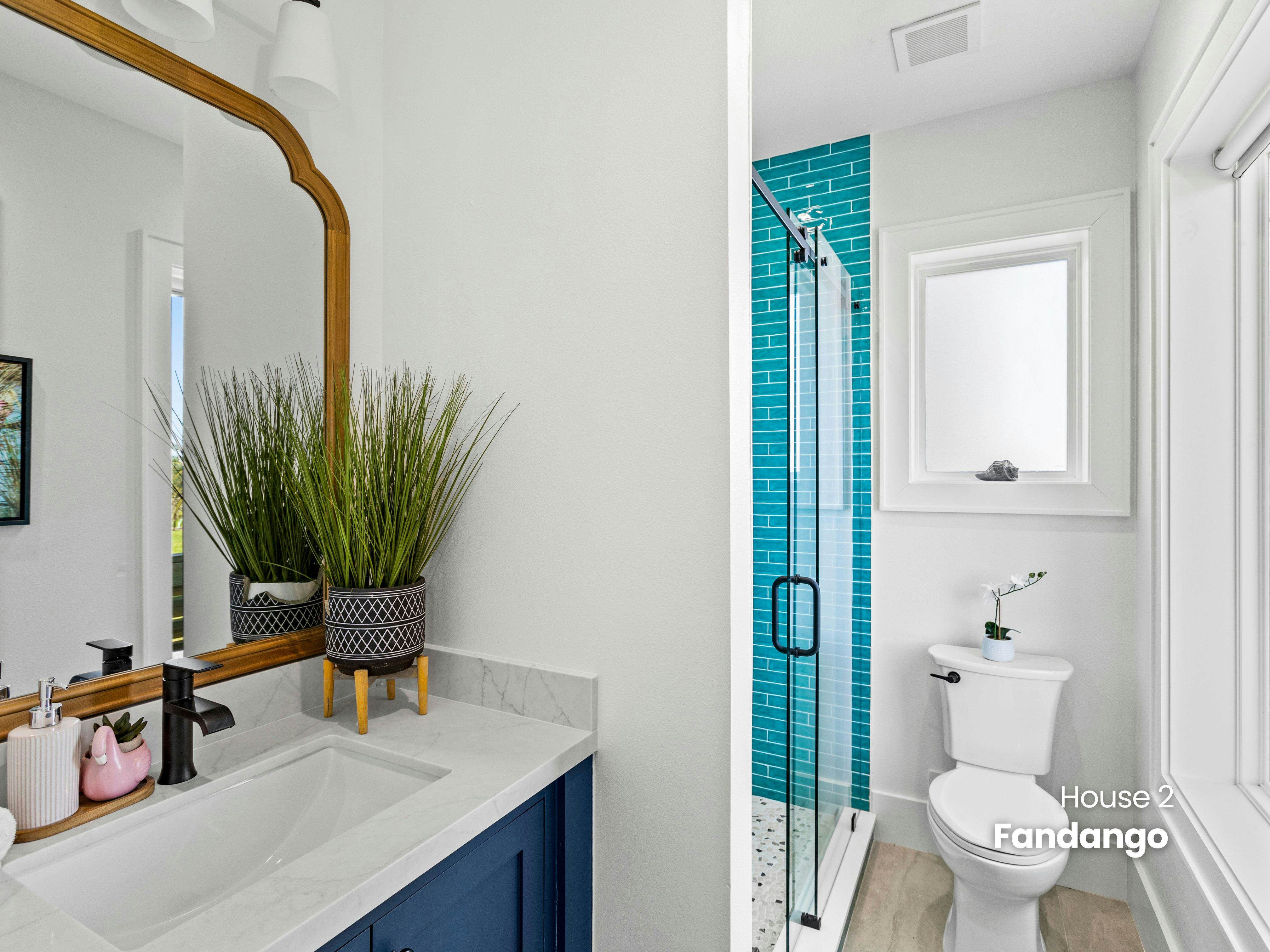 Fandango and Wayward Sun