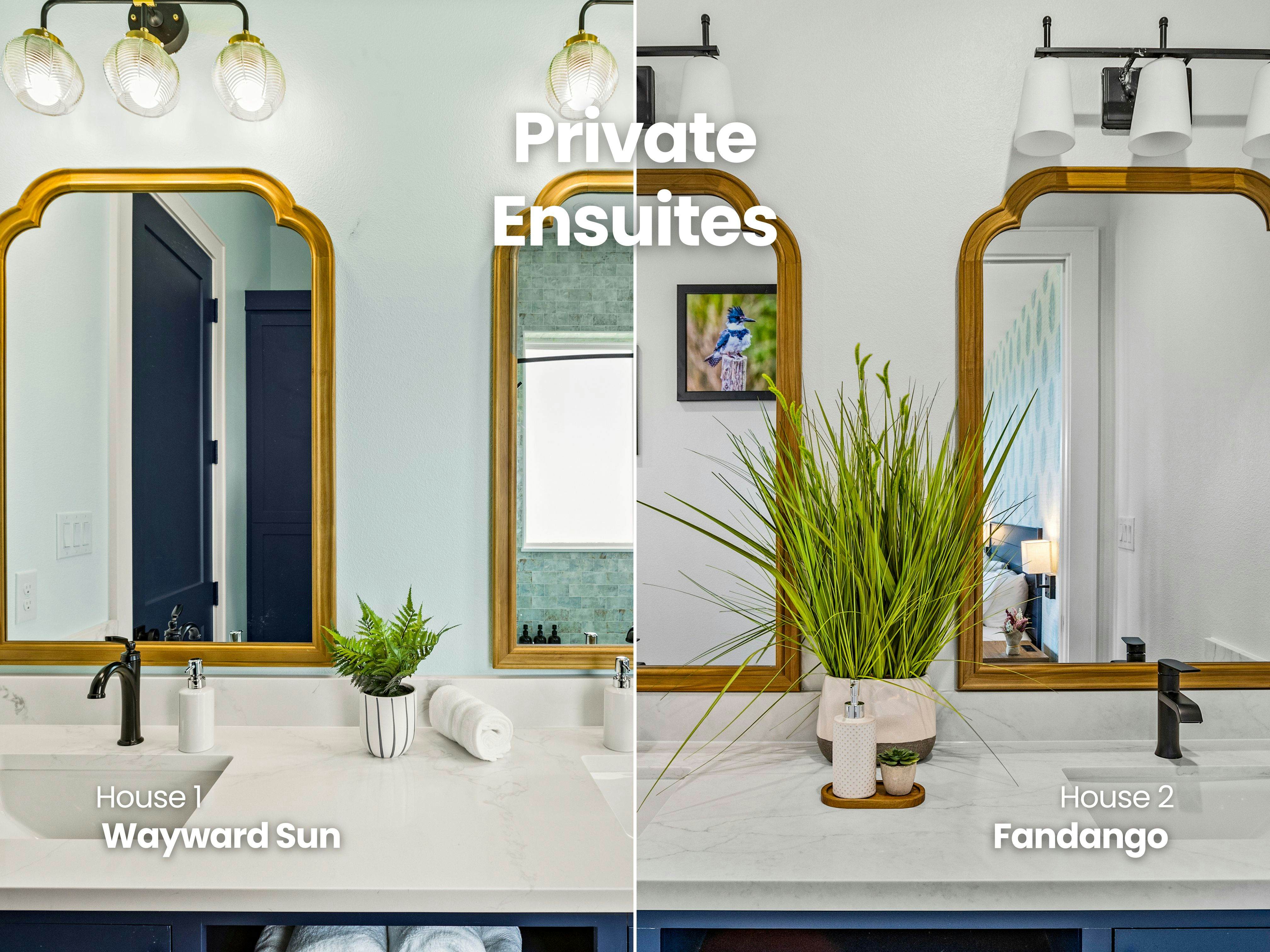 Fandango and Wayward Sun