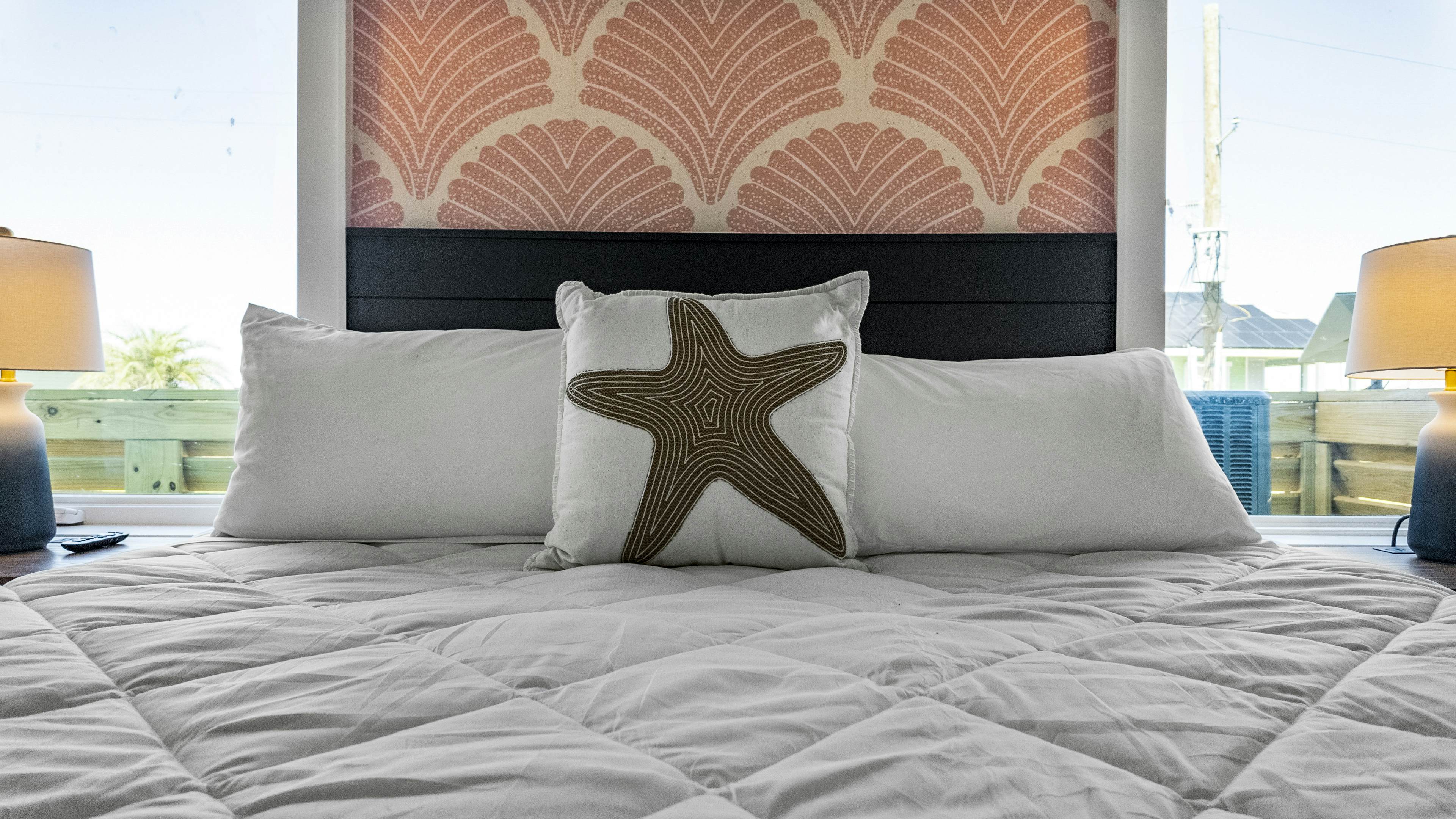 Fandango and Wayward Sun