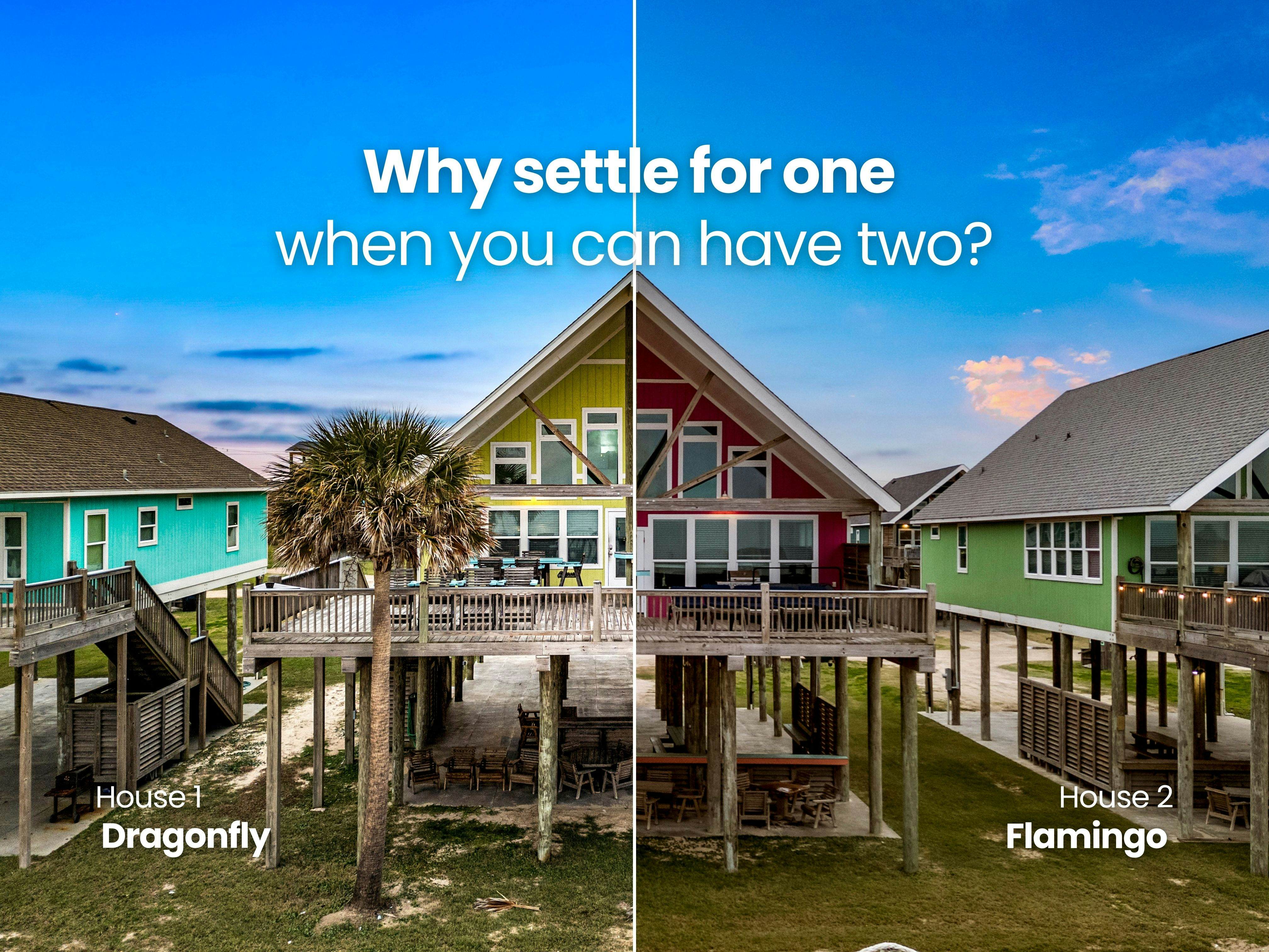 Dragonfly and Flamingo