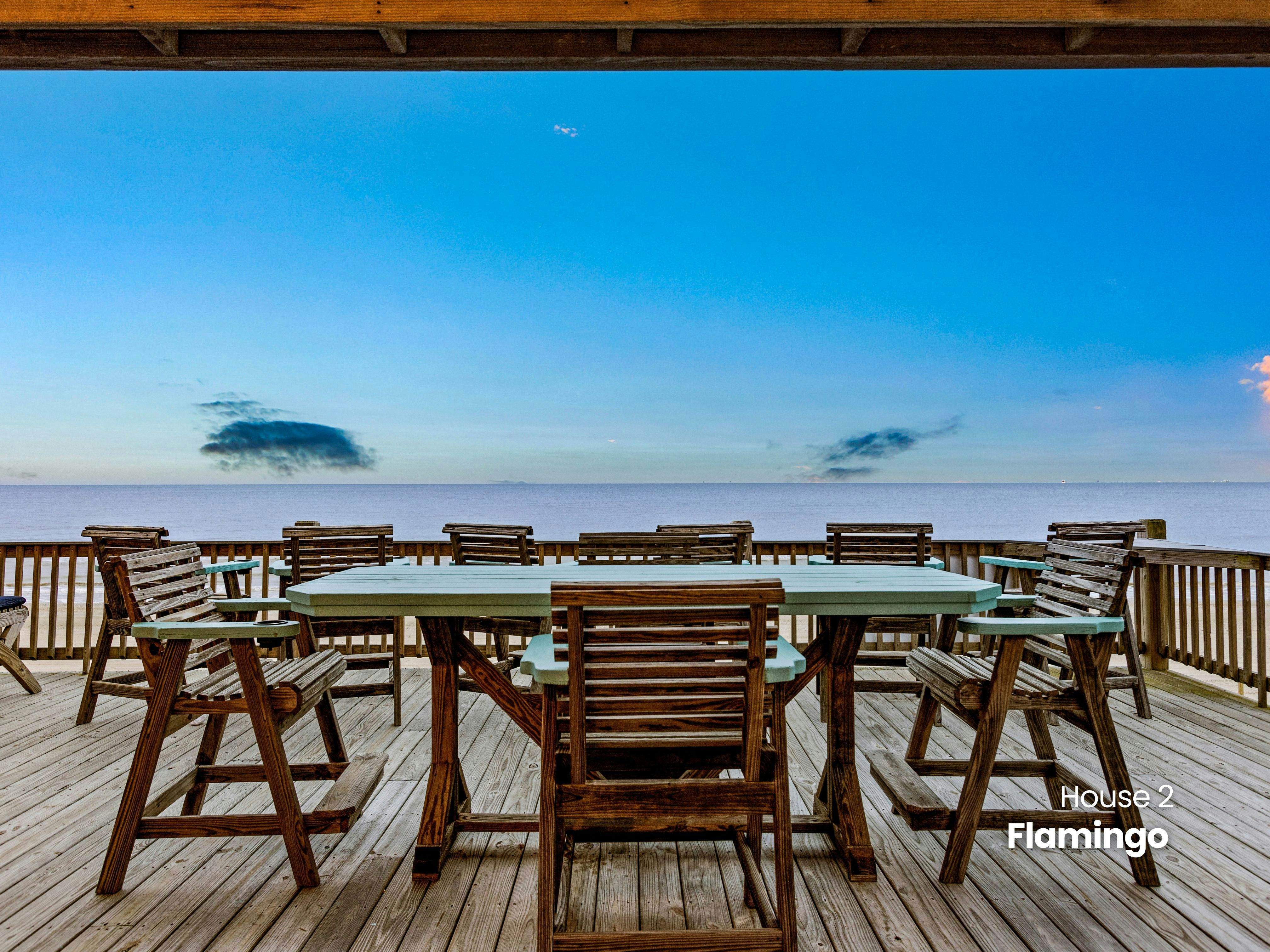 Dragonfly and Flamingo