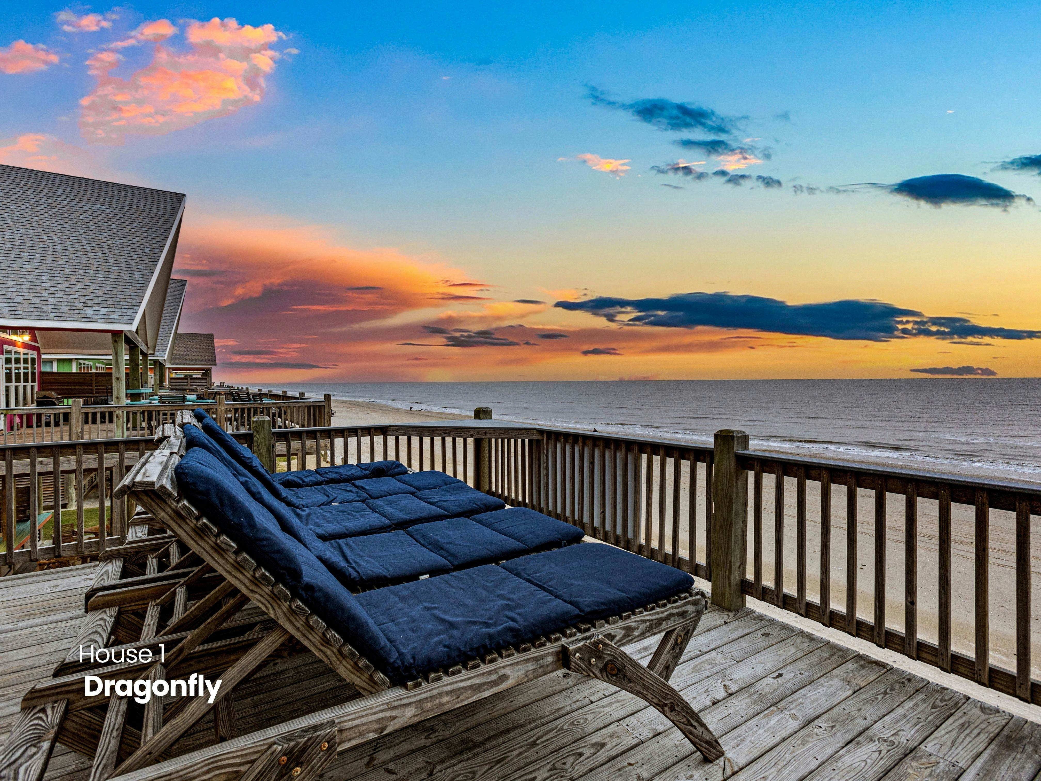 Dragonfly and Flamingo