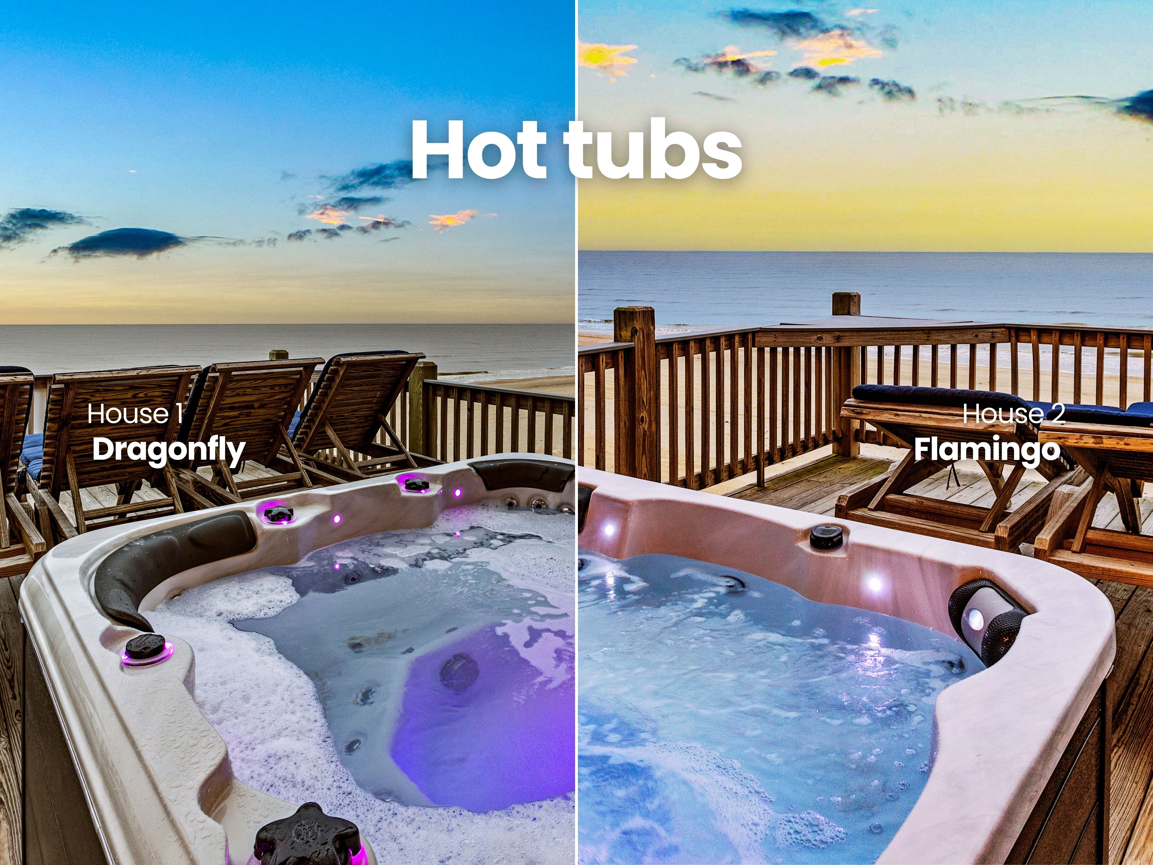 Dragonfly and Flamingo