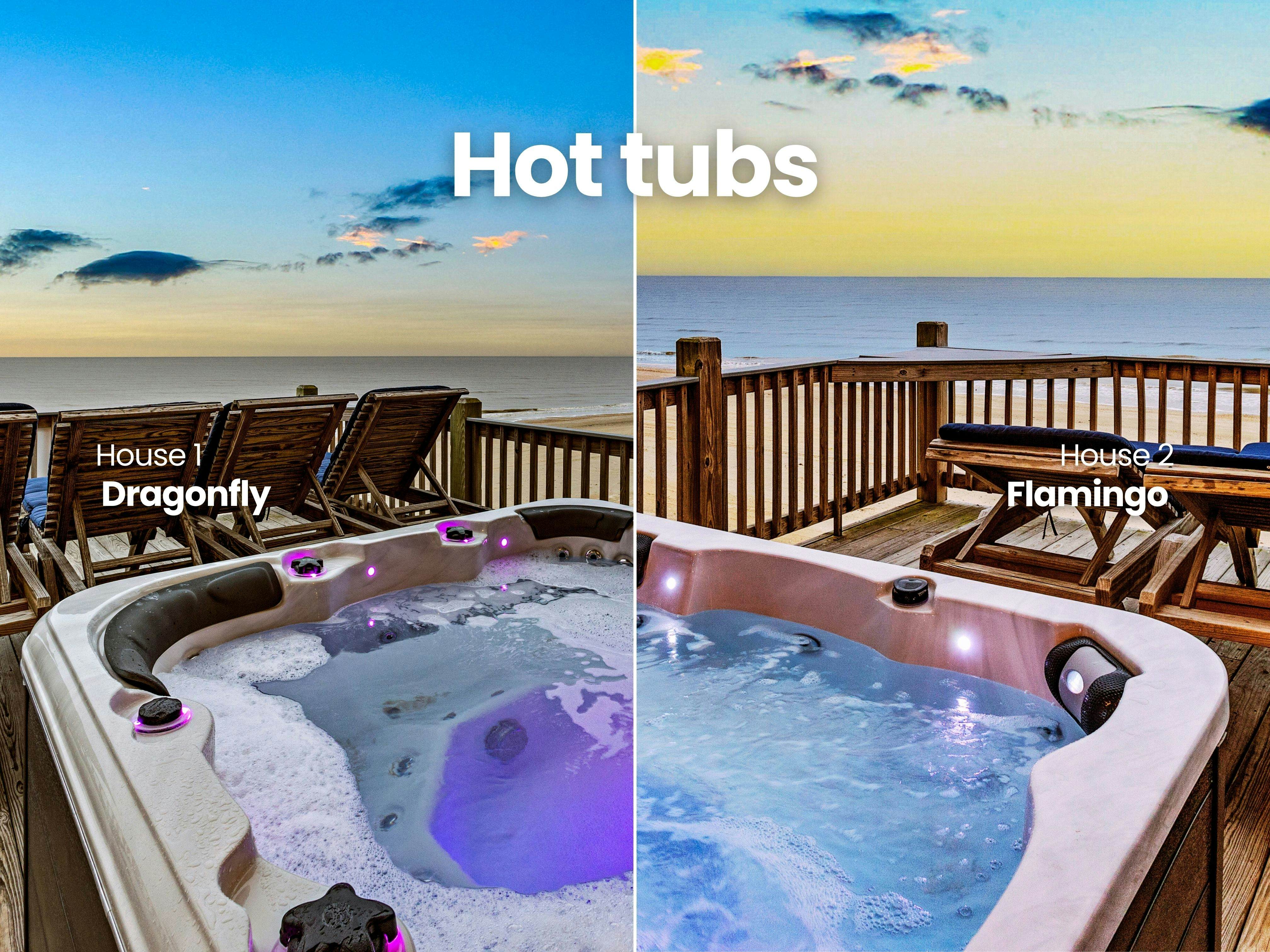 Dragonfly and Flamingo