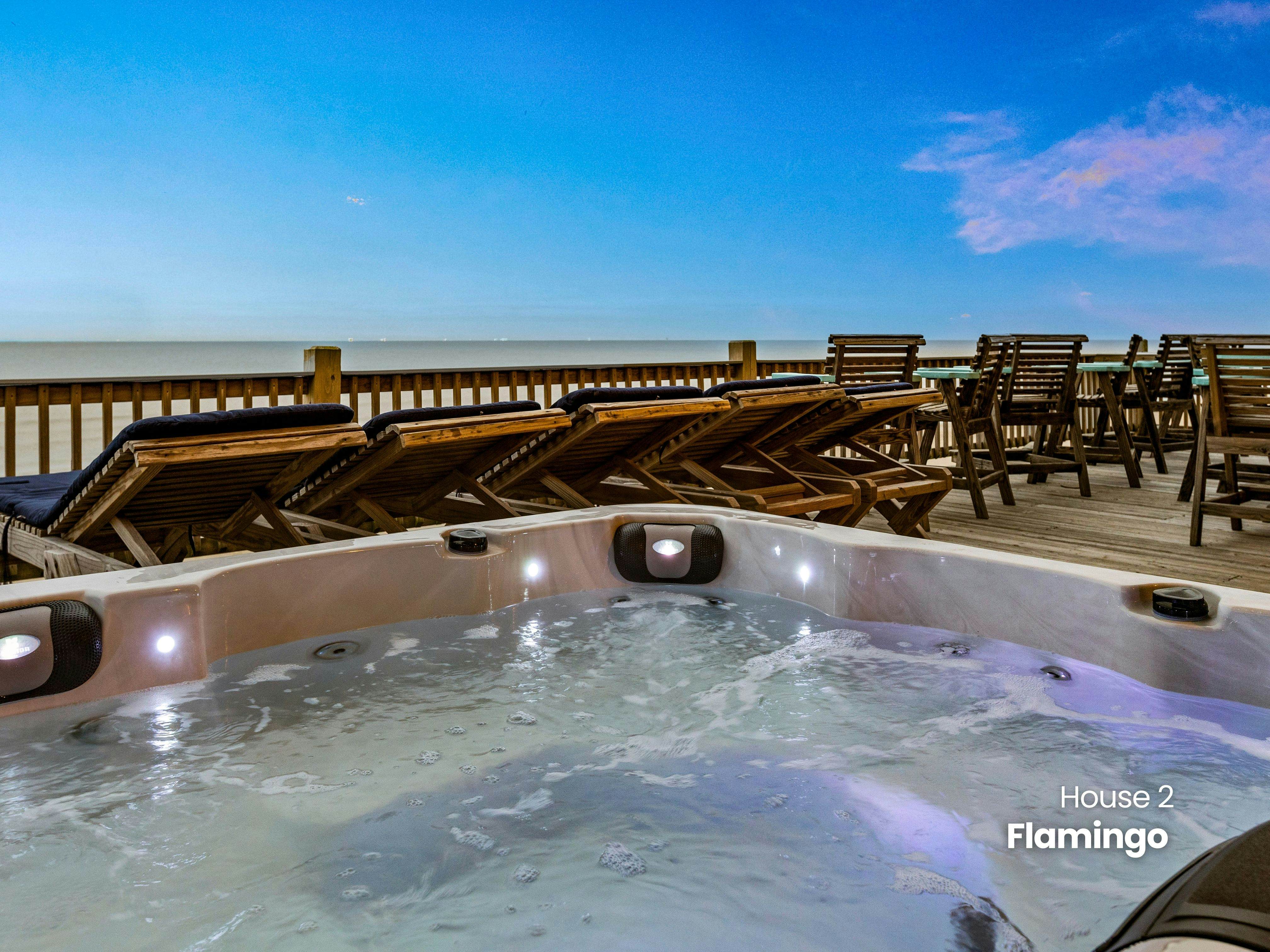 Dragonfly and Flamingo