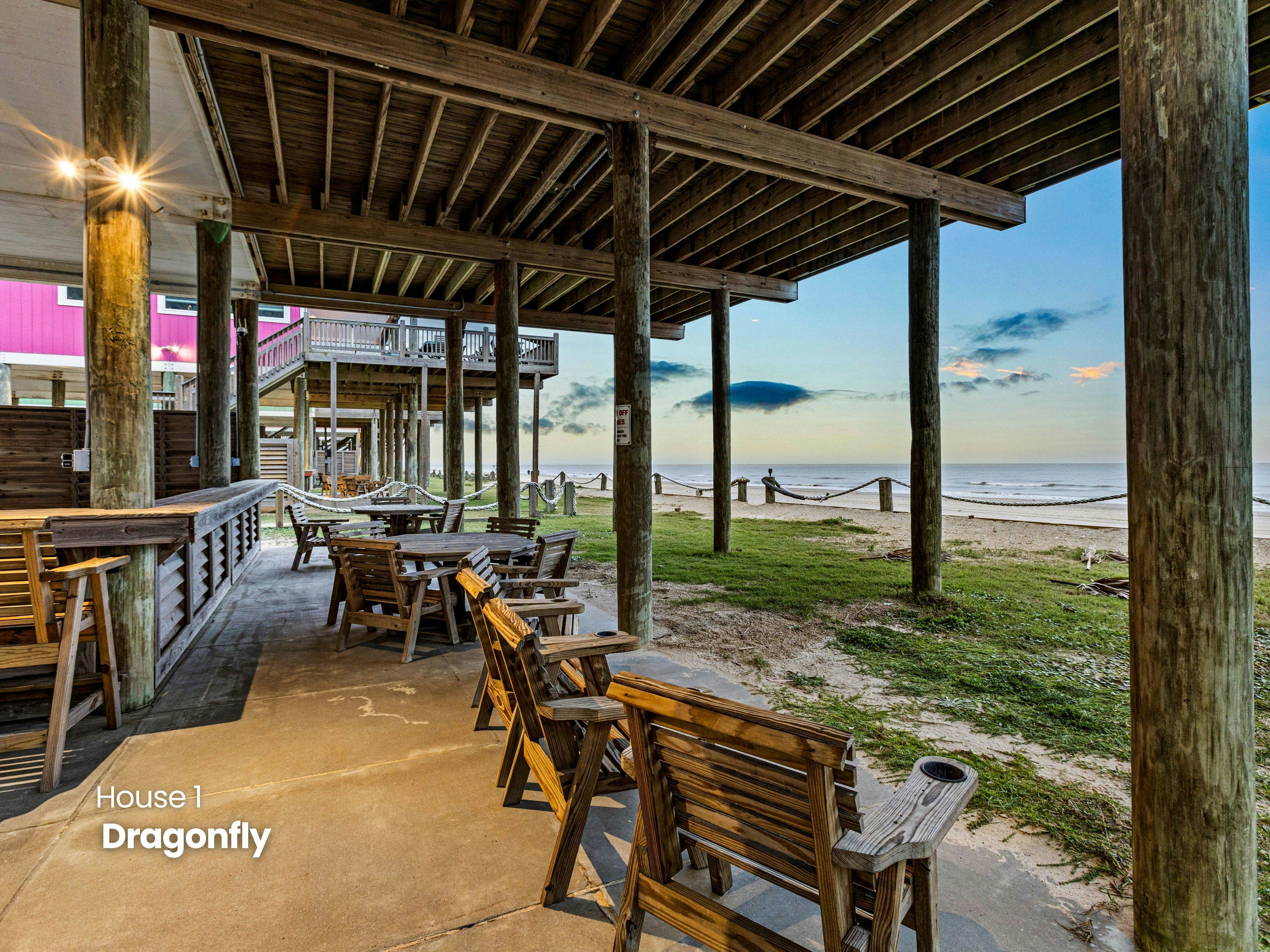 Dragonfly and Flamingo