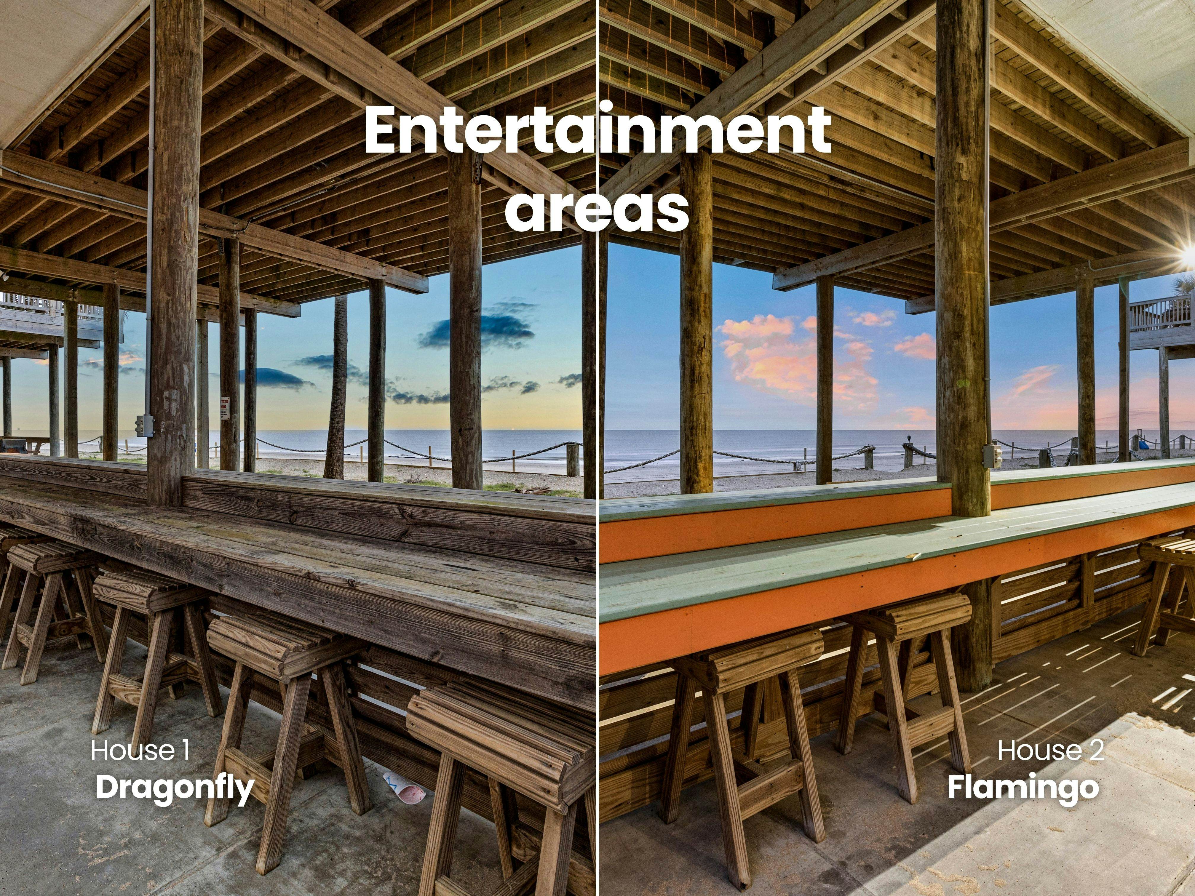 Dragonfly and Flamingo