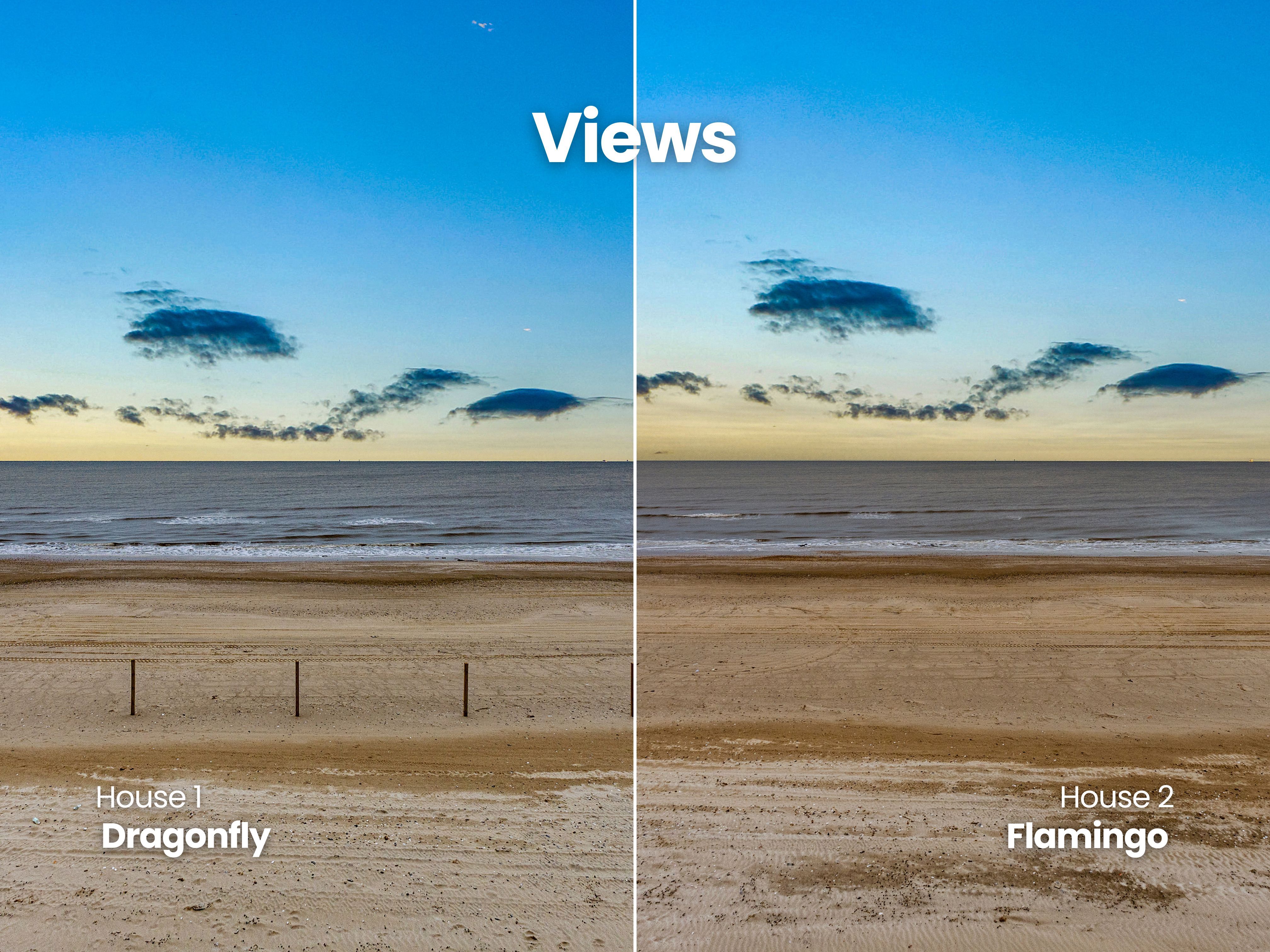 Dragonfly & Flamingo