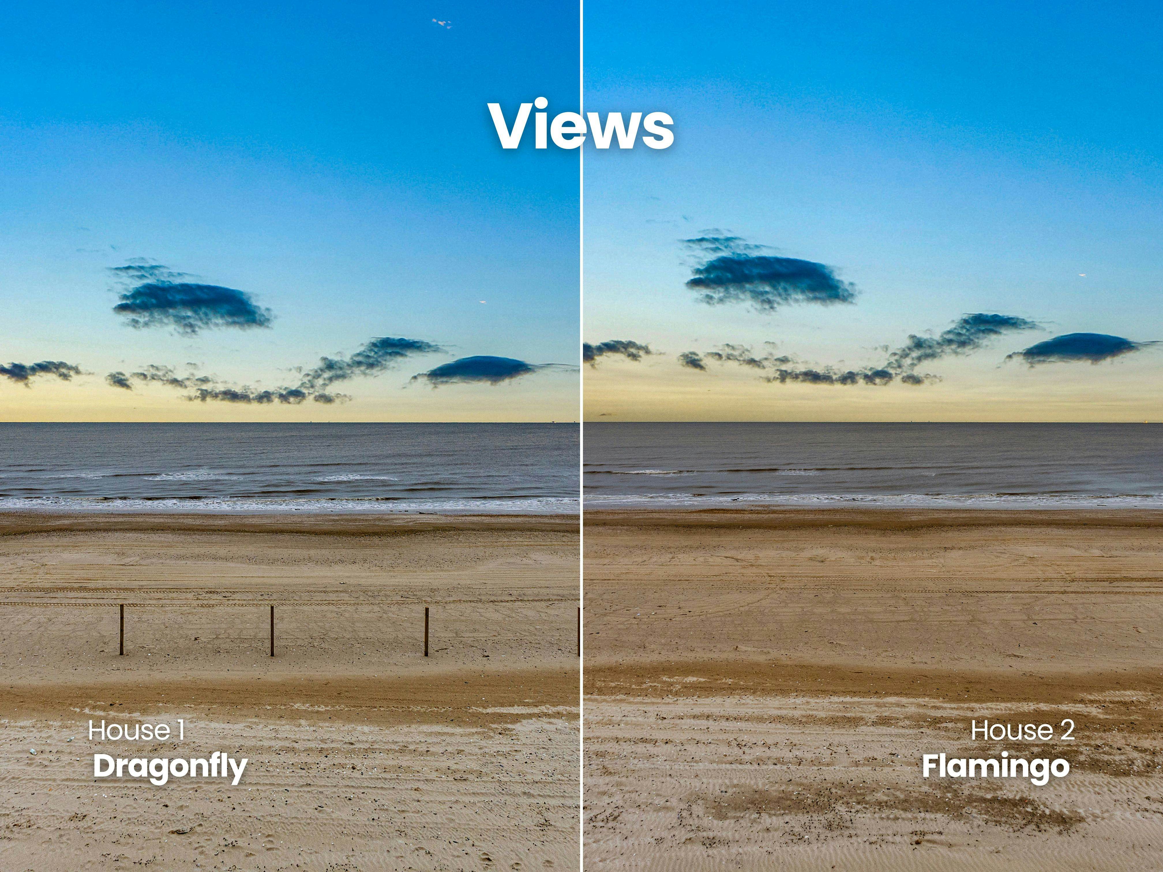 Dragonfly and Flamingo