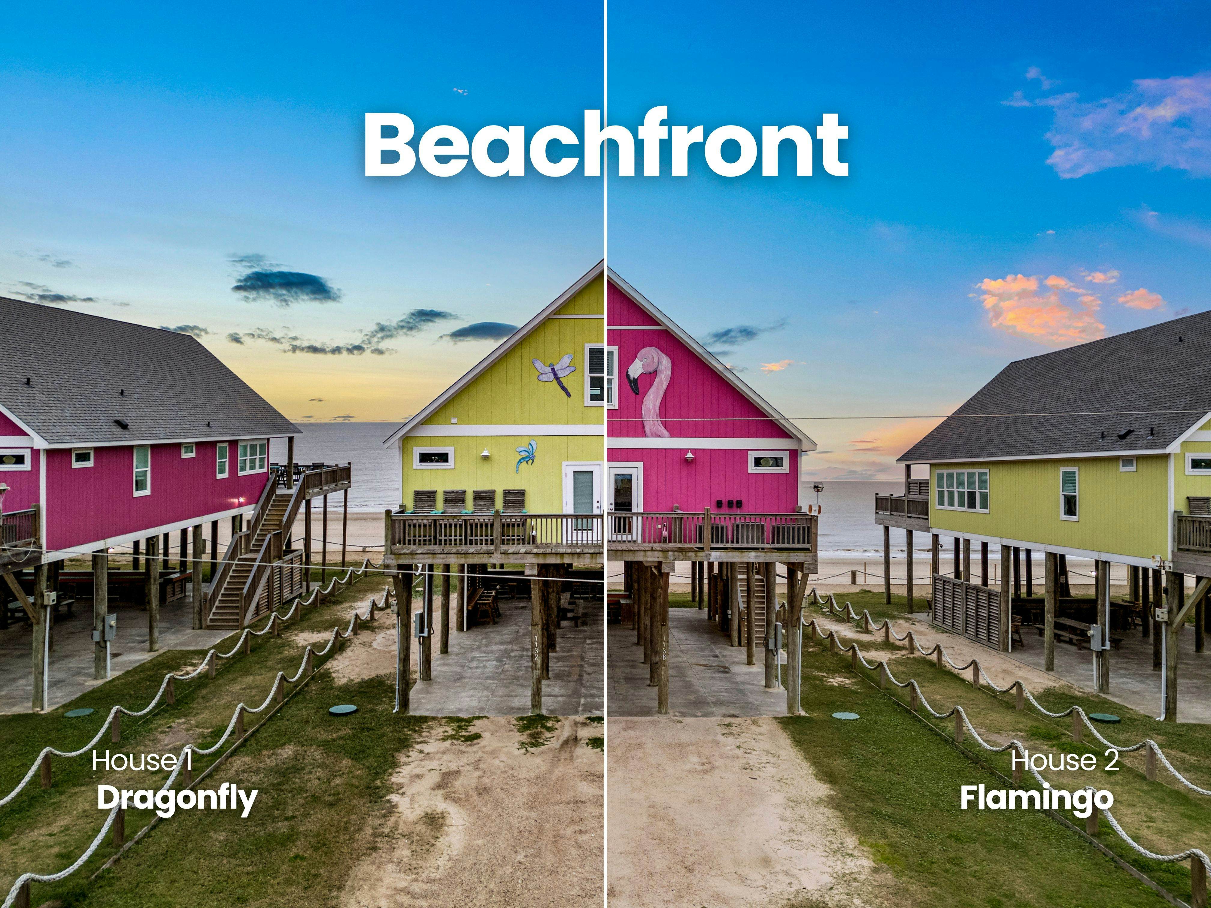 Dragonfly and Flamingo