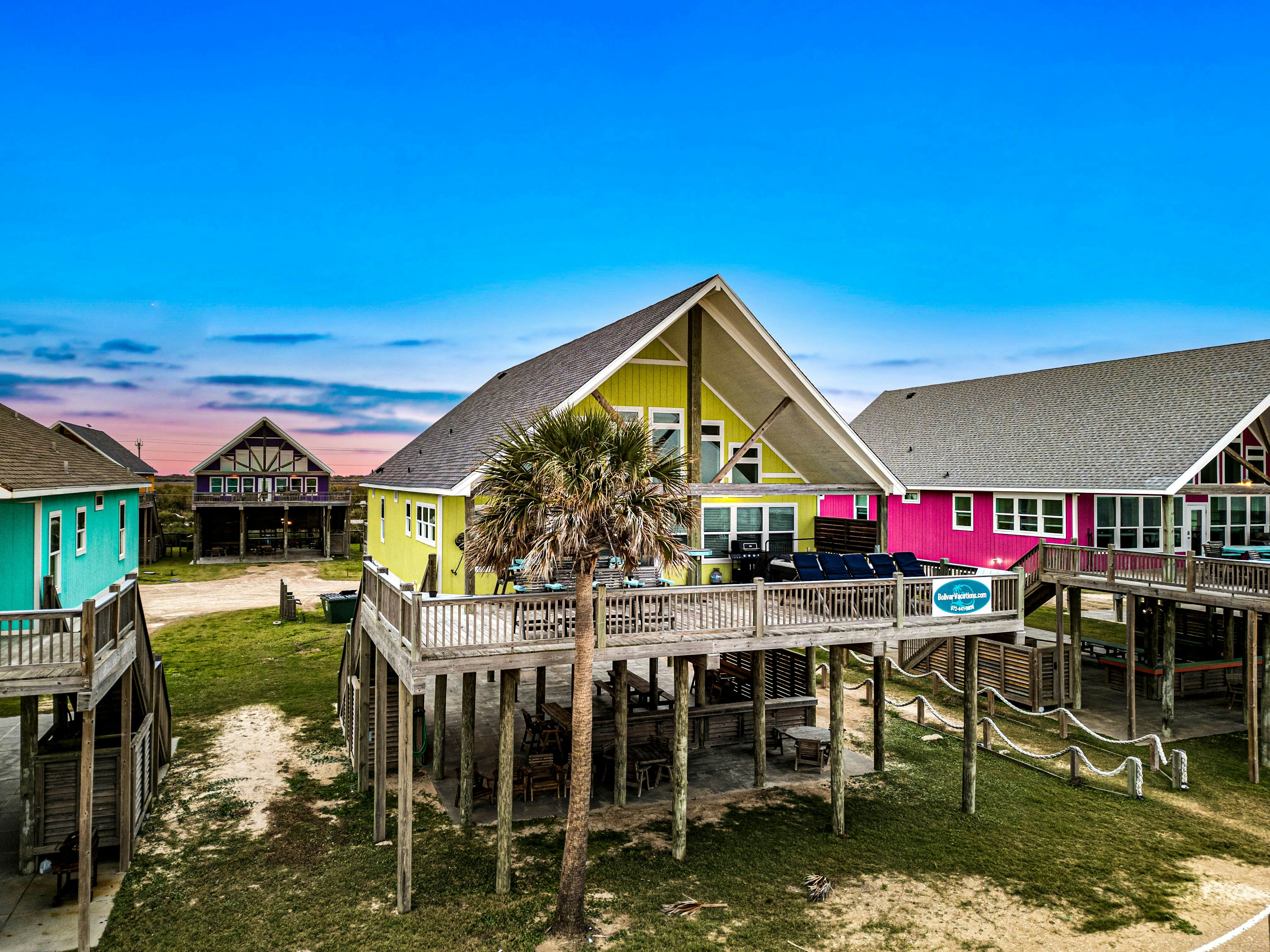 Dragonfly and Flamingo