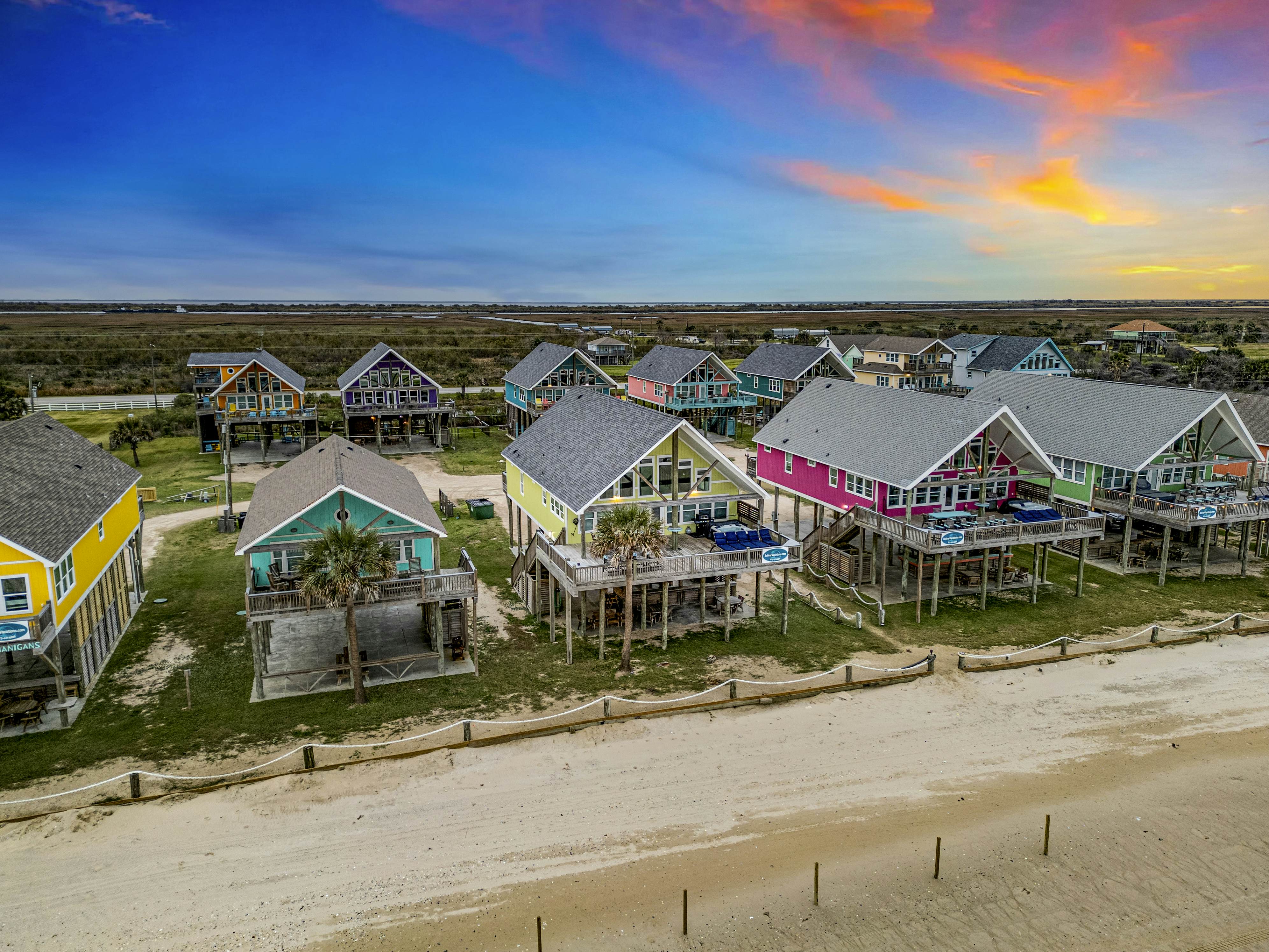 Dragonfly and Flamingo