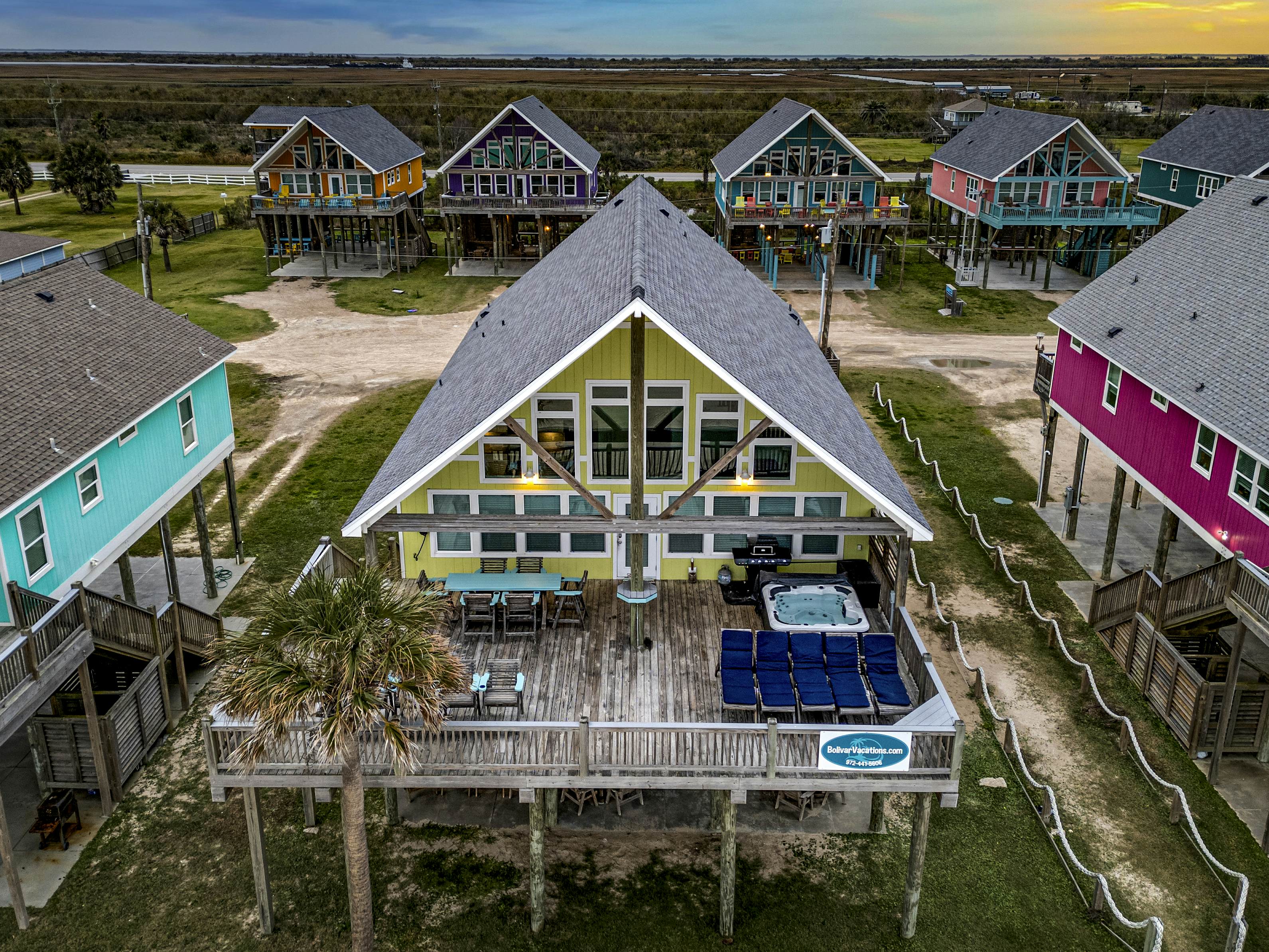 Dragonfly and Flamingo