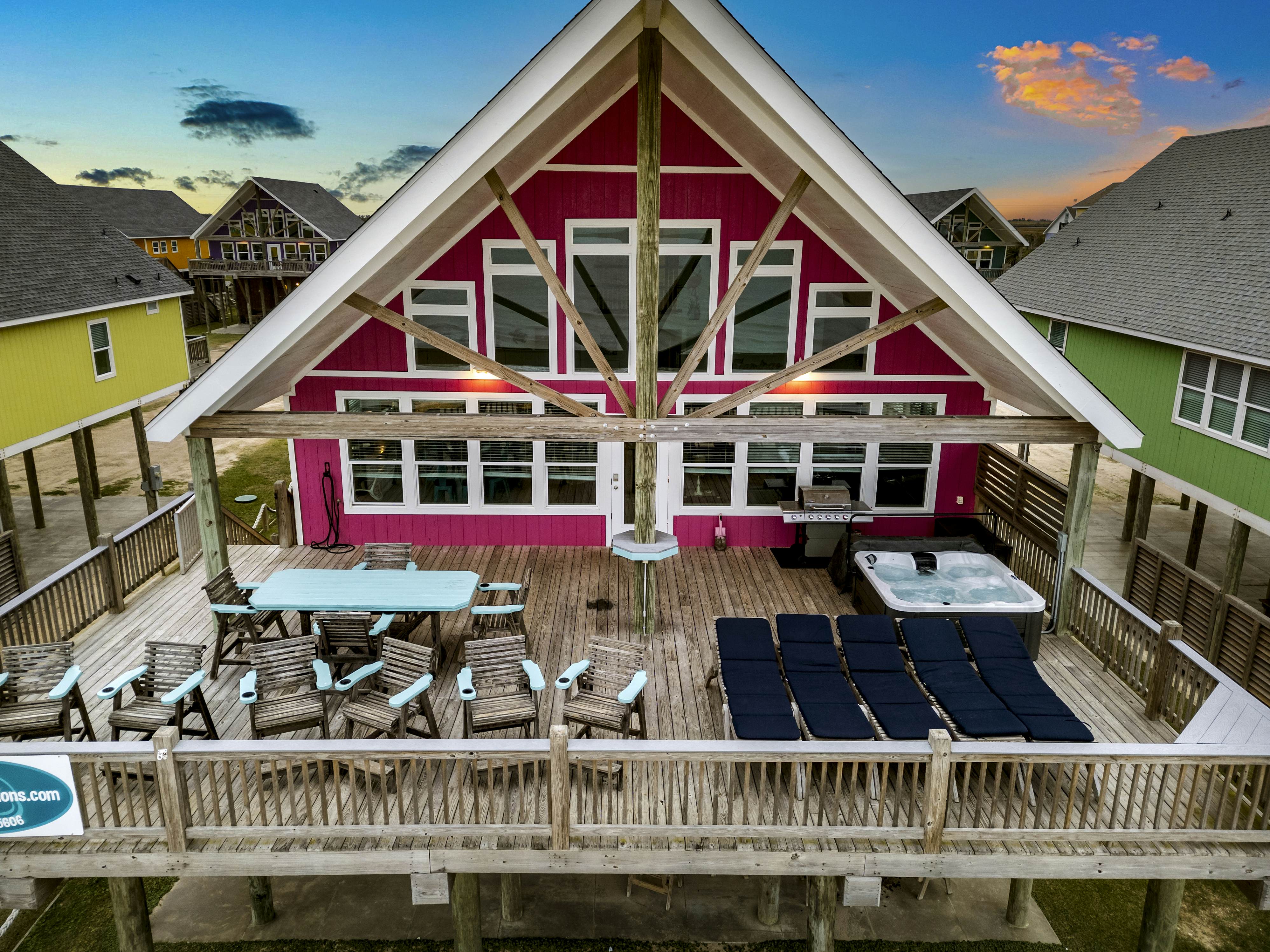 Dragonfly and Flamingo