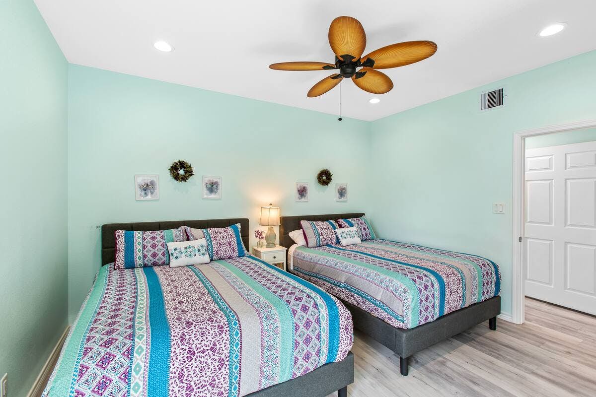 Dragonfly and Flamingo