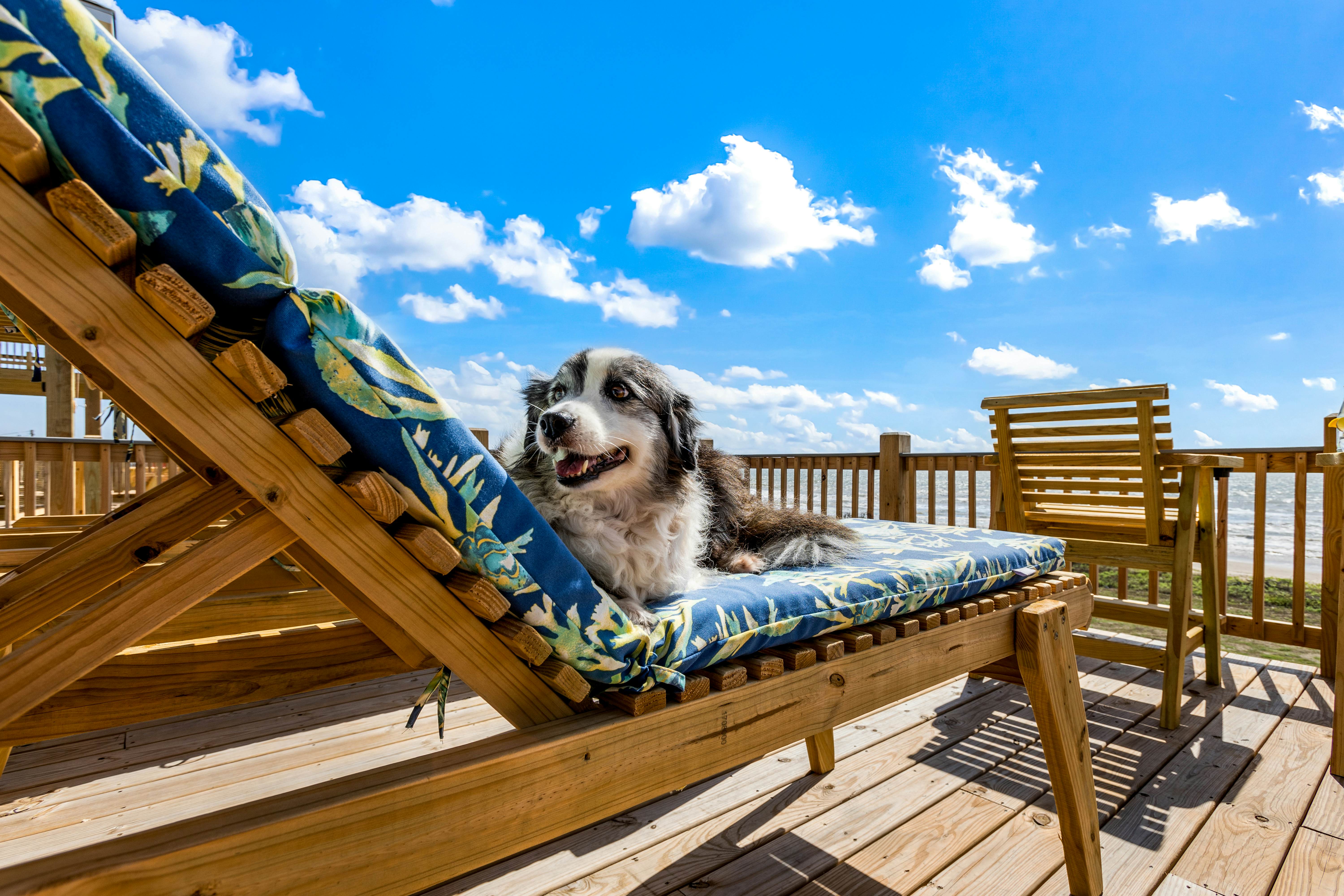 Sangria Sunset, Jolly Roger, and Mimosa Beach