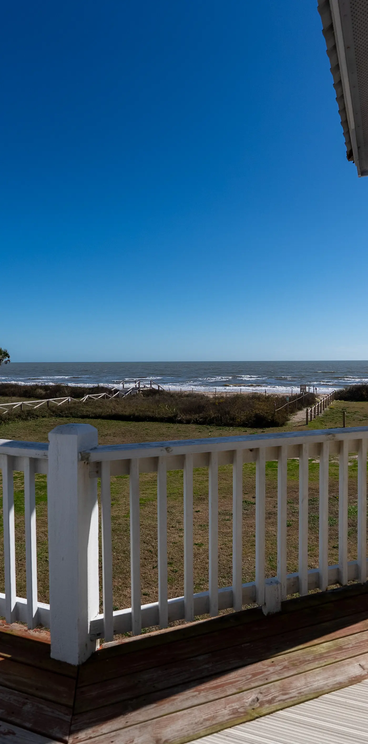 Driftwood Deck
