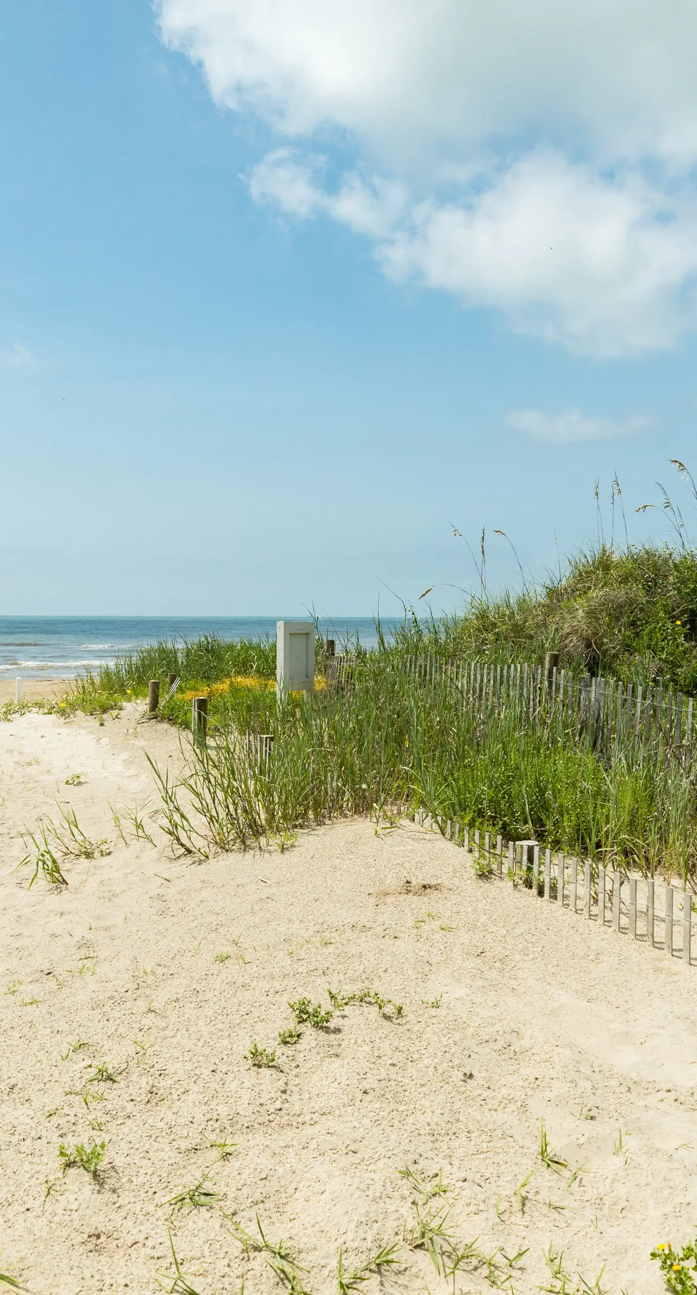 Cake by the Ocean at Seagrass