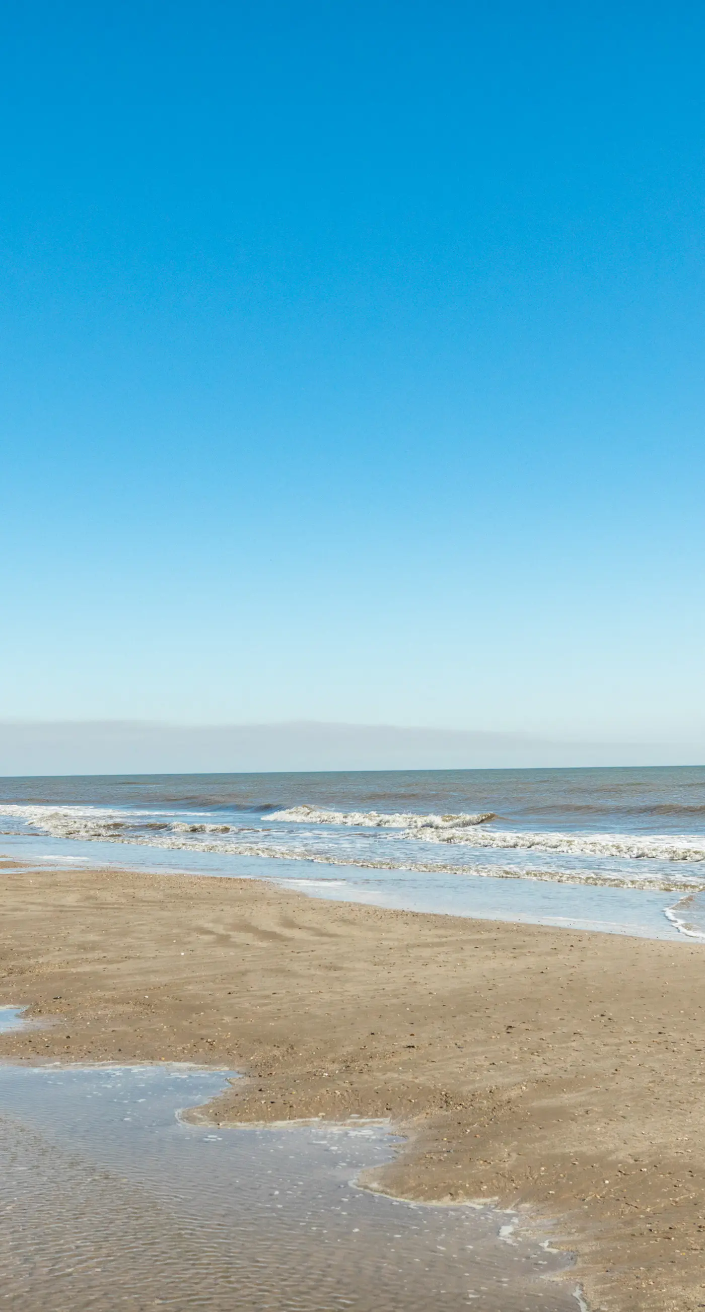 Cake by the Ocean at Seagrass