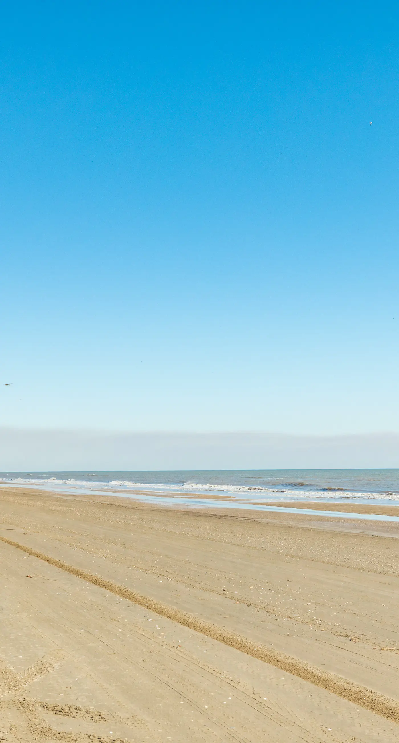 Cake by the Ocean at Seagrass
