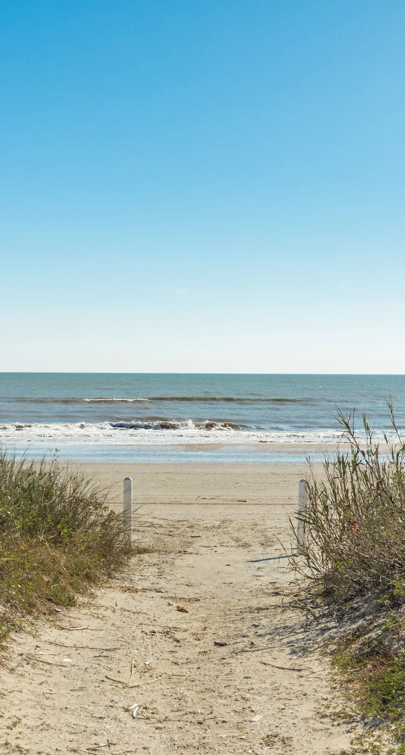 Cake by the Ocean at Seagrass