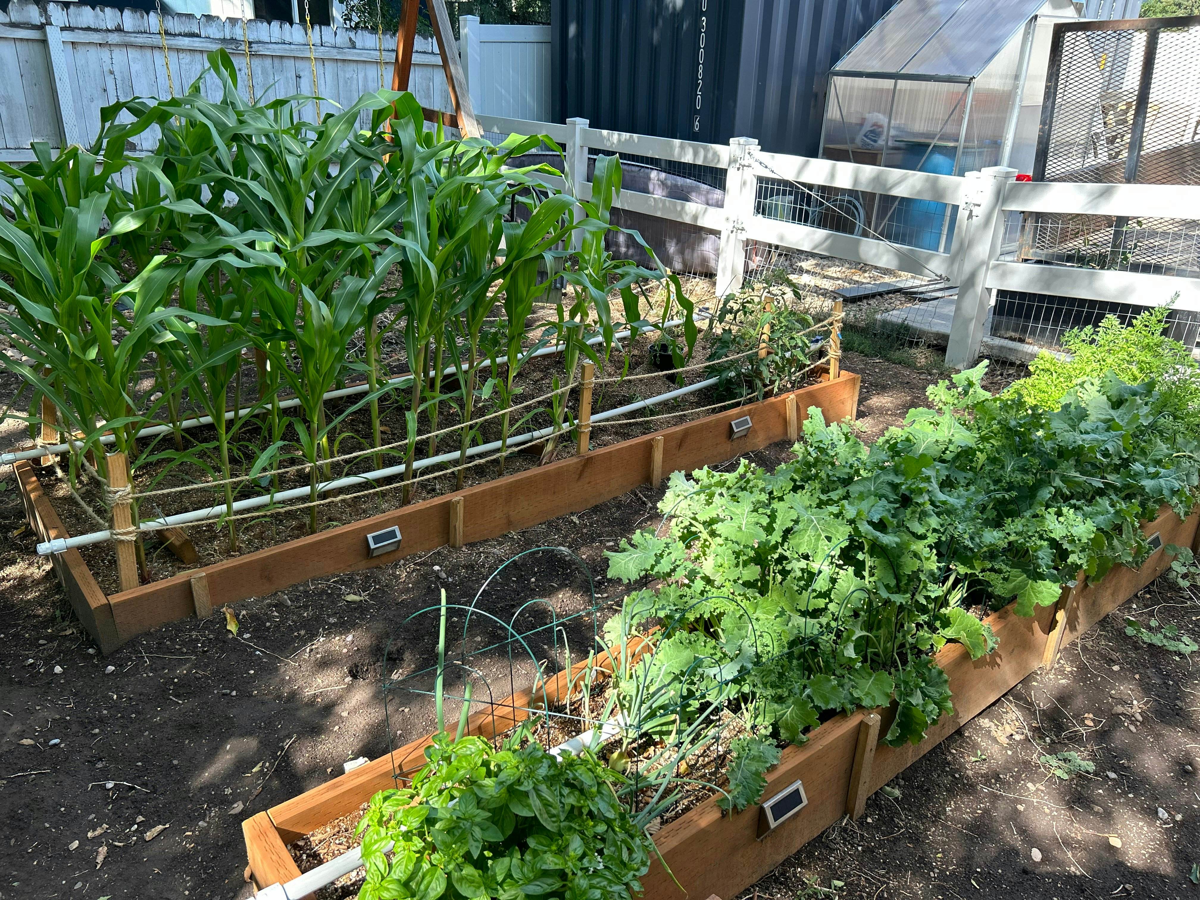 Heber Historical Colonial Bundle