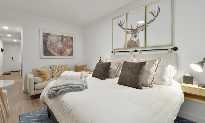 Lux studio, hot tub, king bed, views, gym, DeerVly