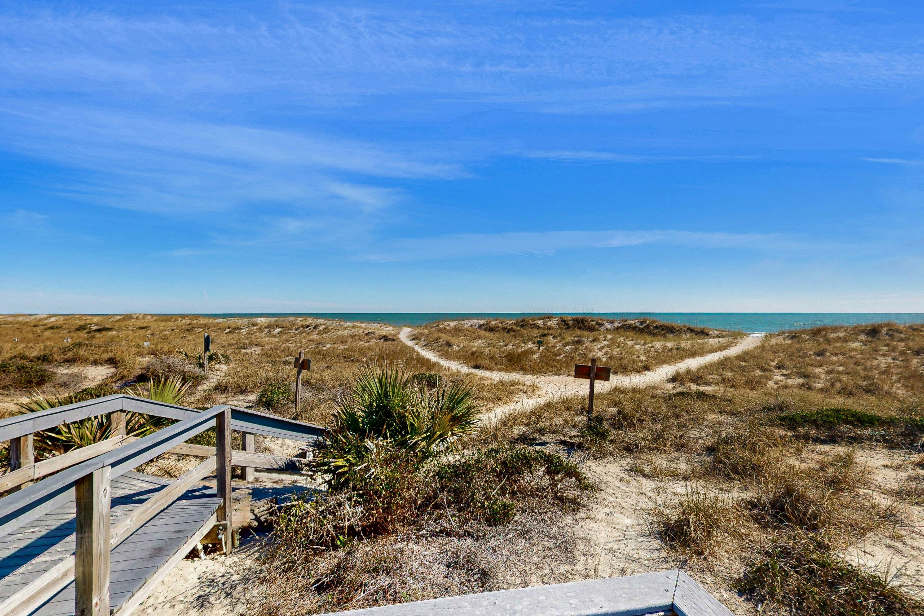 B147 Amelia Surf and Racquet