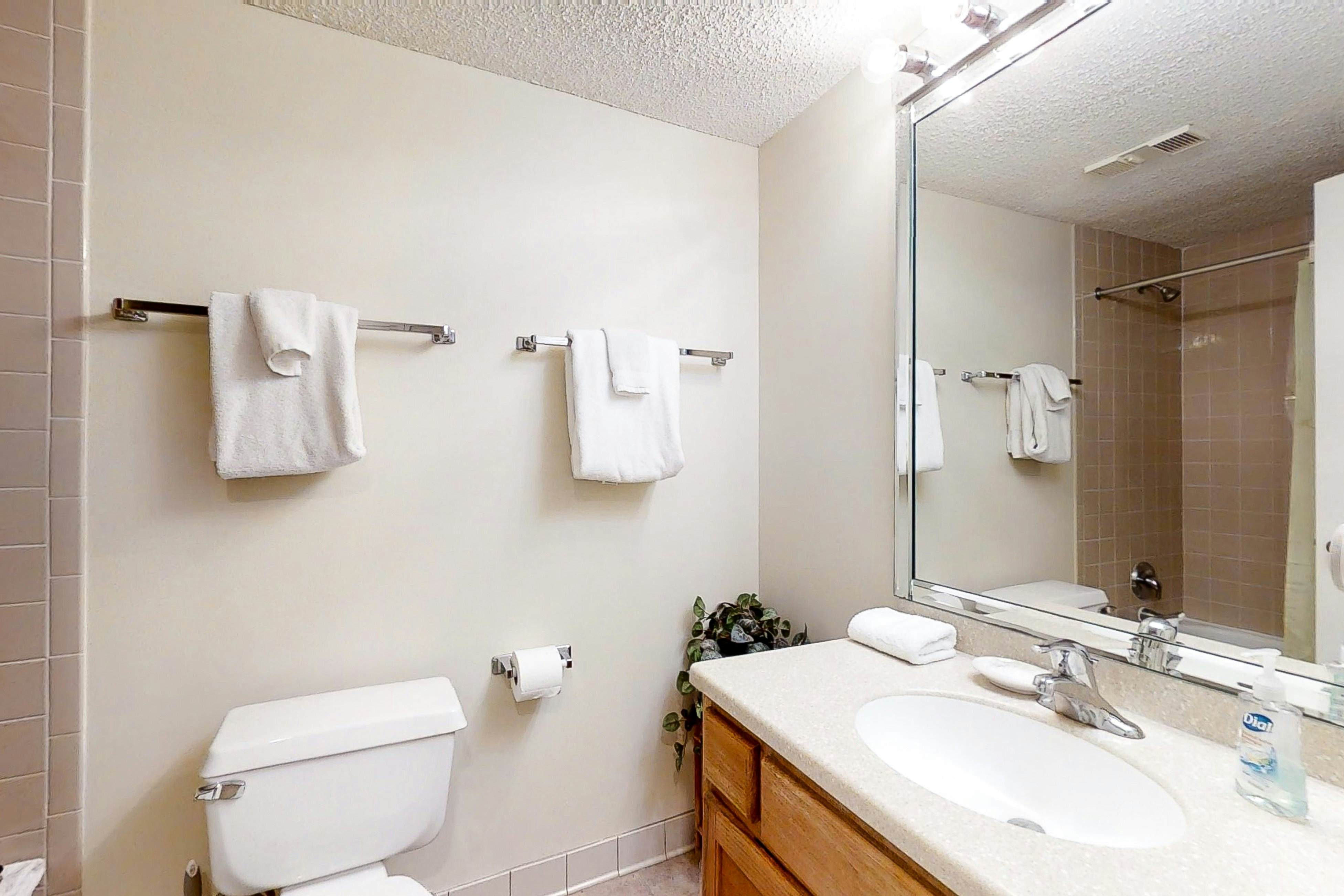 1860-61 Turtle Dunes