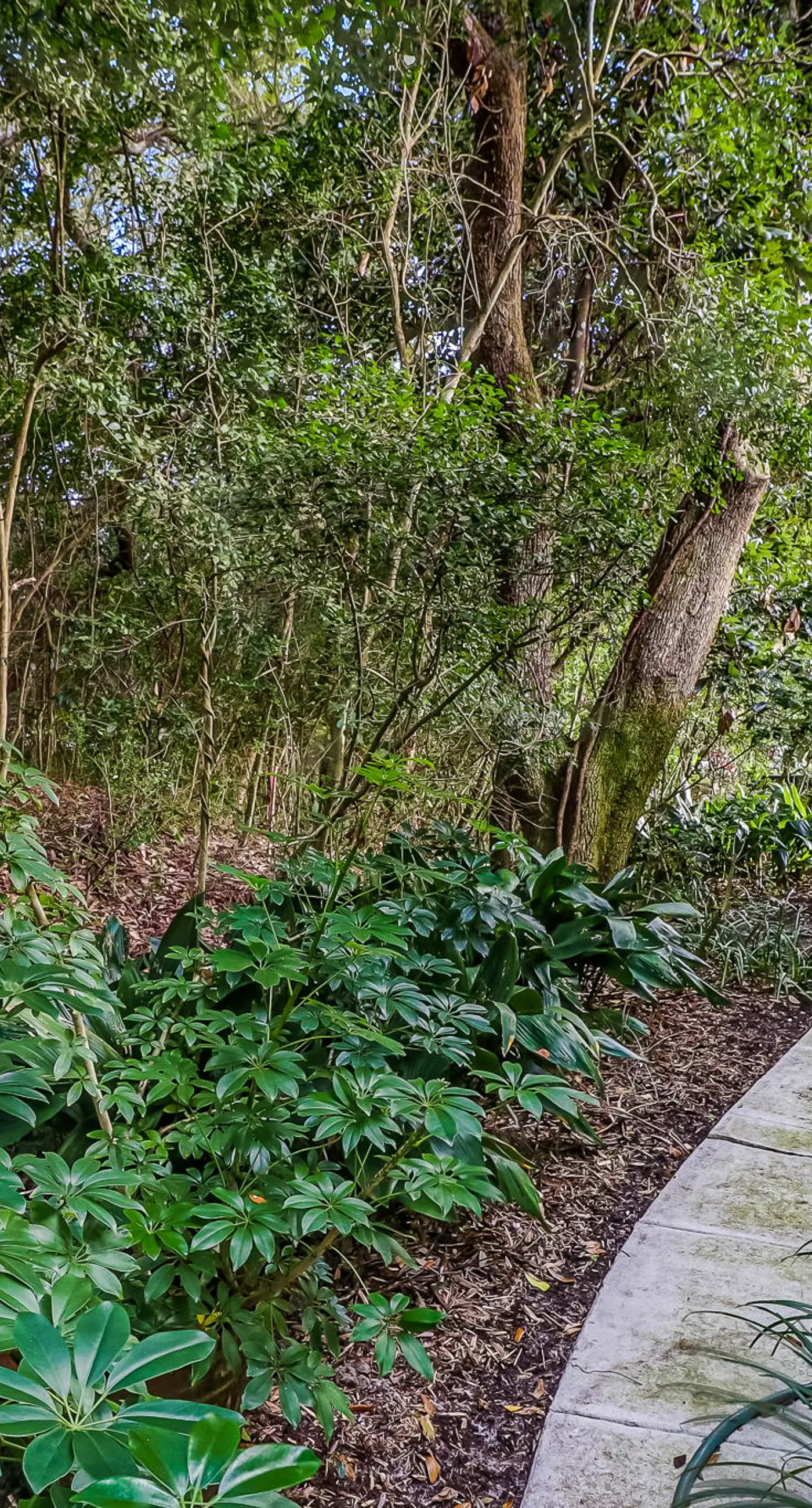 4954 Summer Beach Blvd