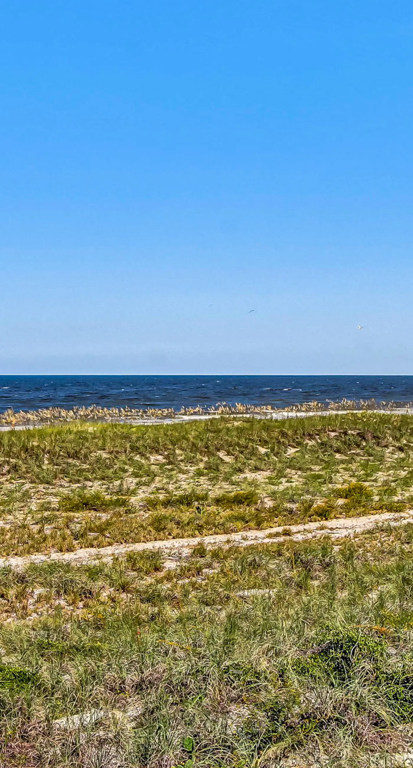 4954 Summer Beach Blvd