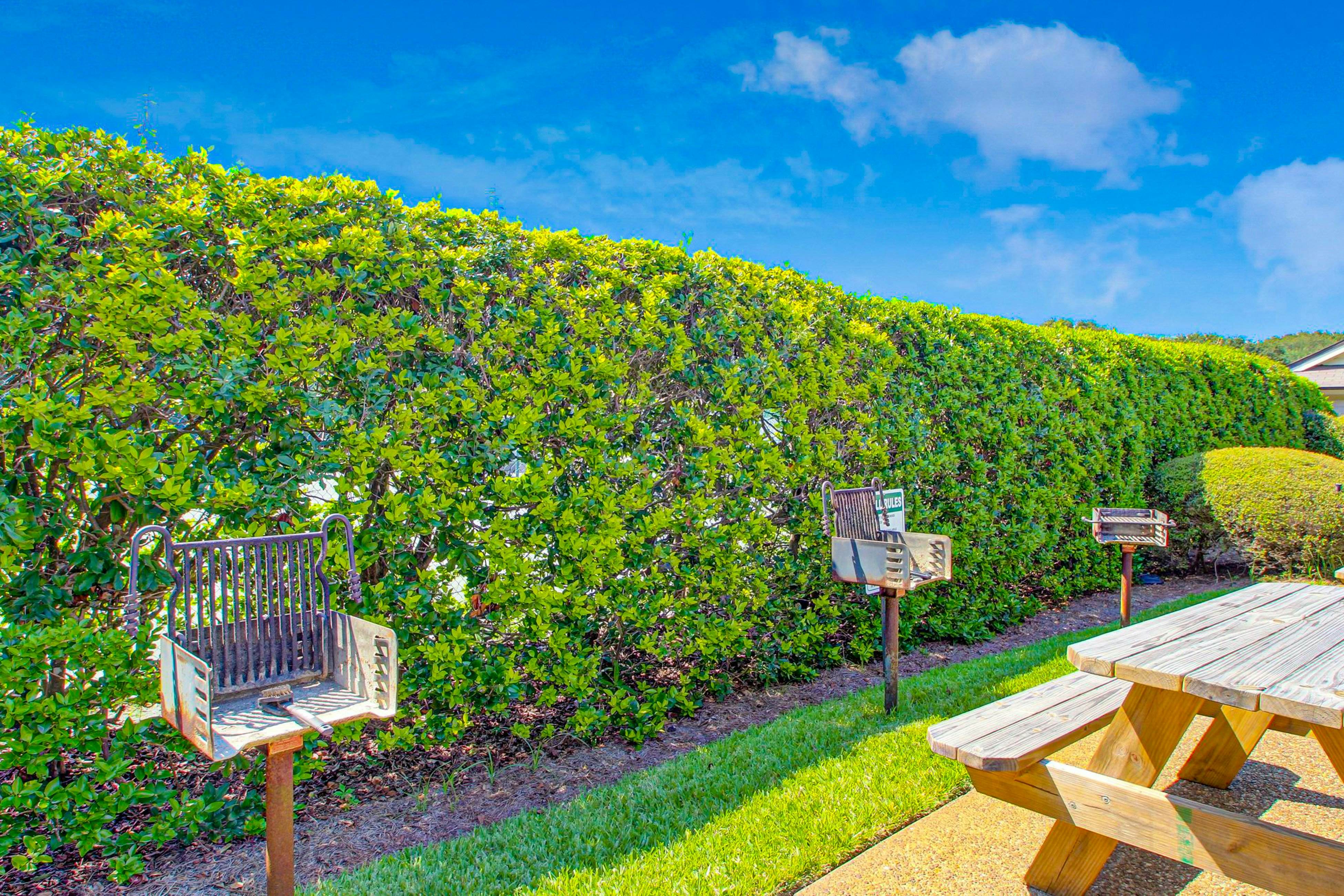 C114 Amelia Surf and Racquet