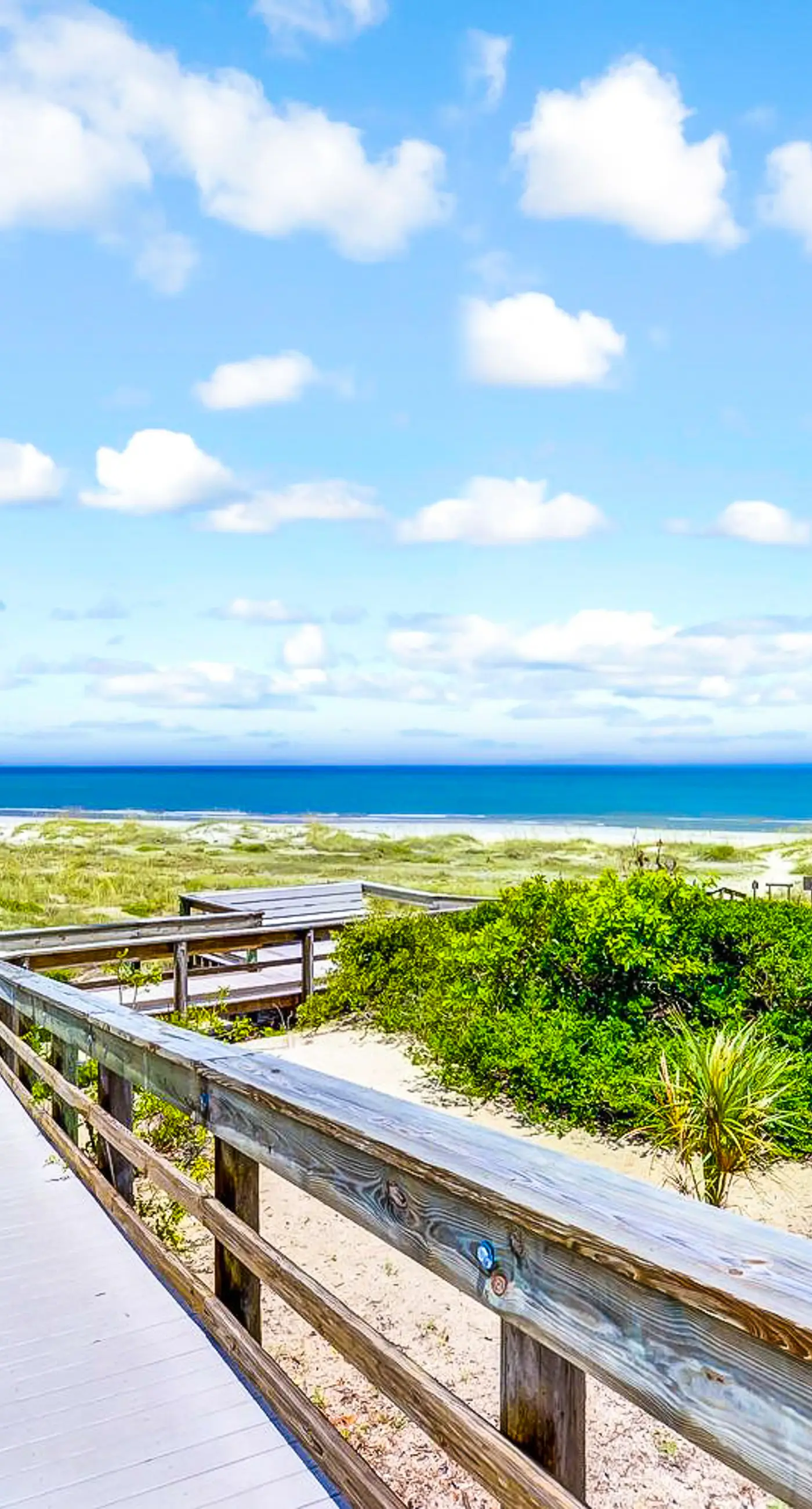 2092 Beach Wood