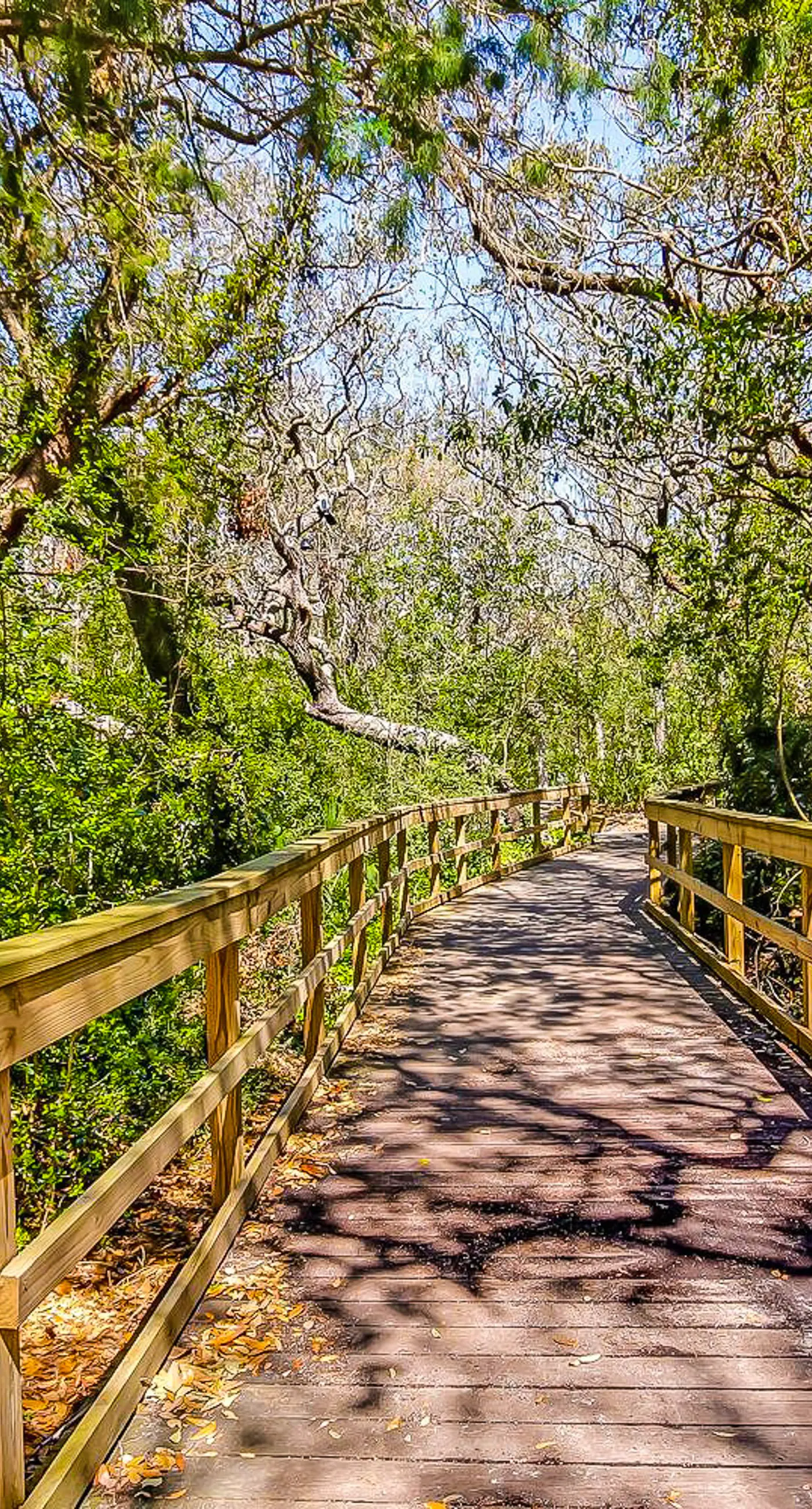 2092 Beach Wood