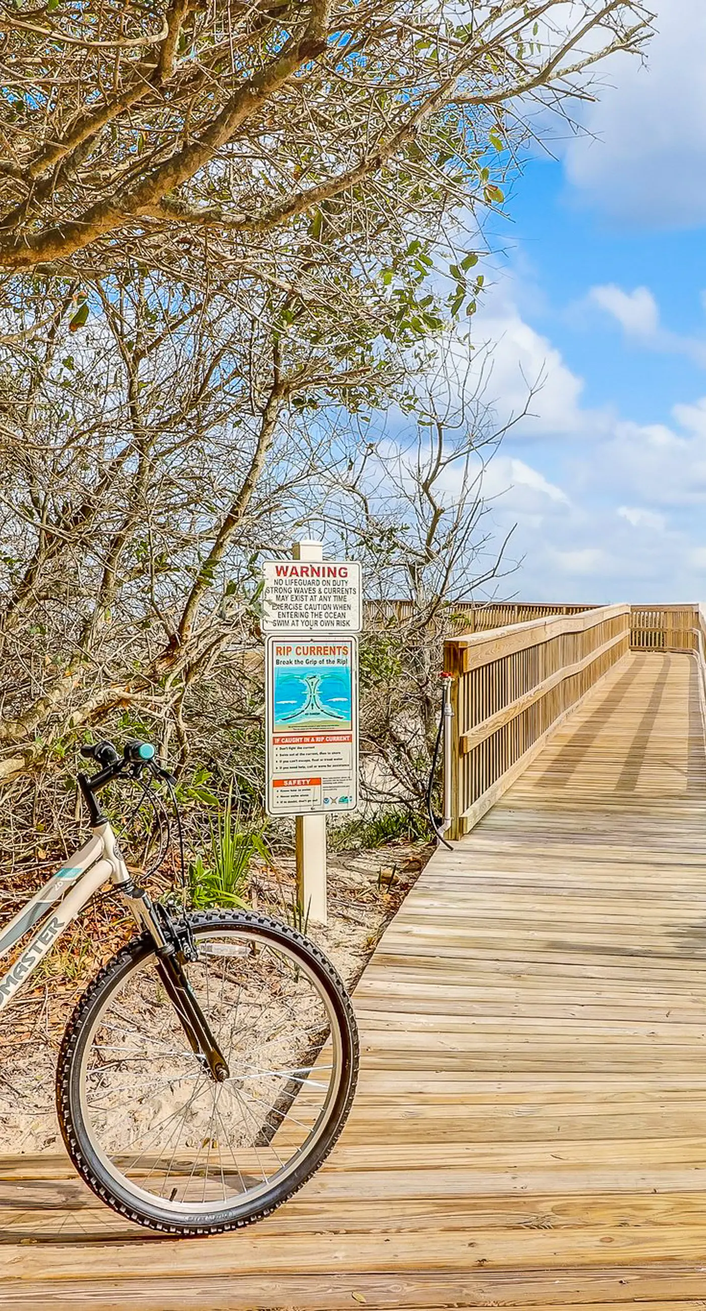 2092 Beach Wood